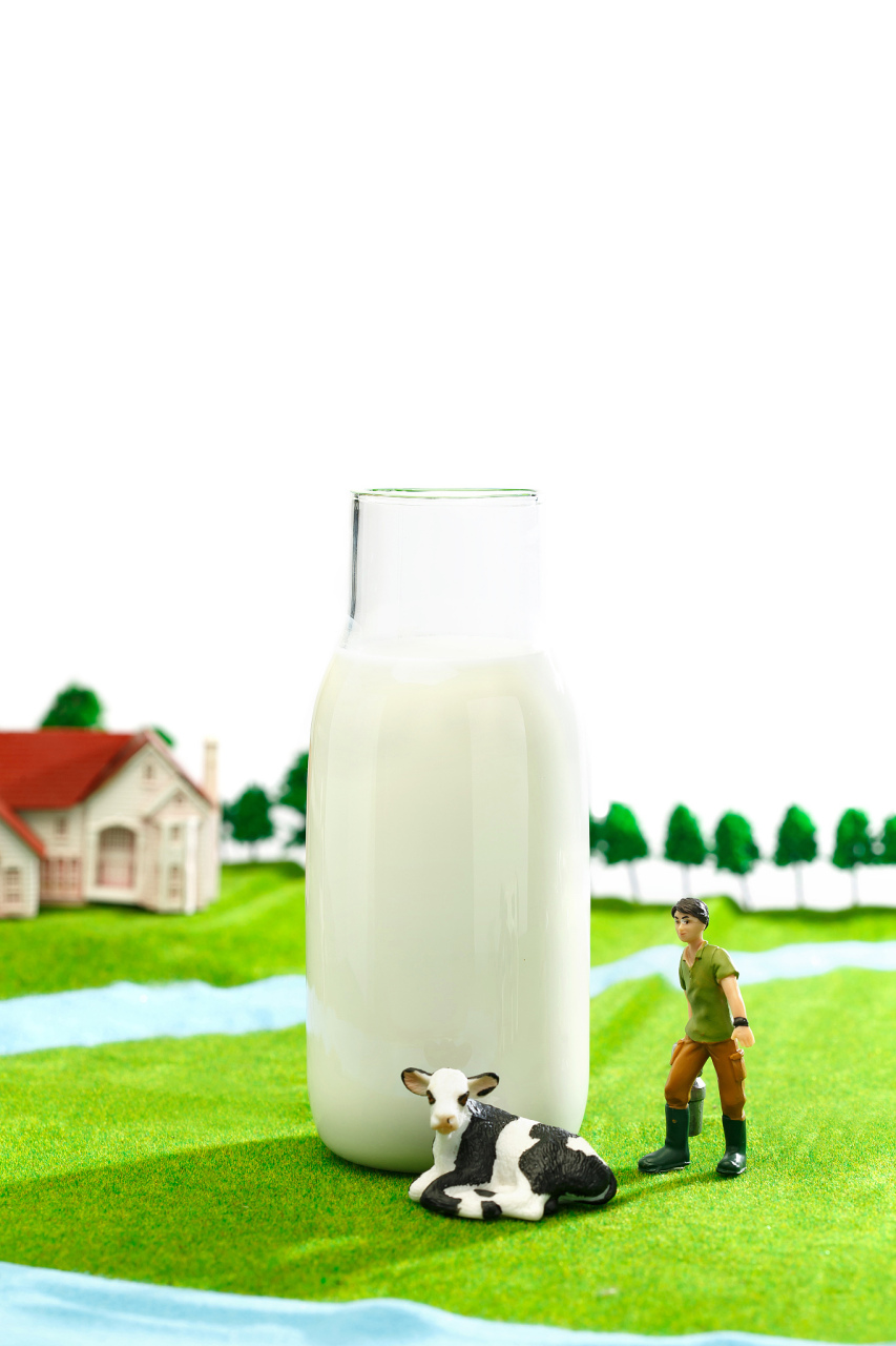 巴氏鲜奶,是以新鲜牛奶为原料,采用巴氏杀菌工艺加工而成的牛奶,具有