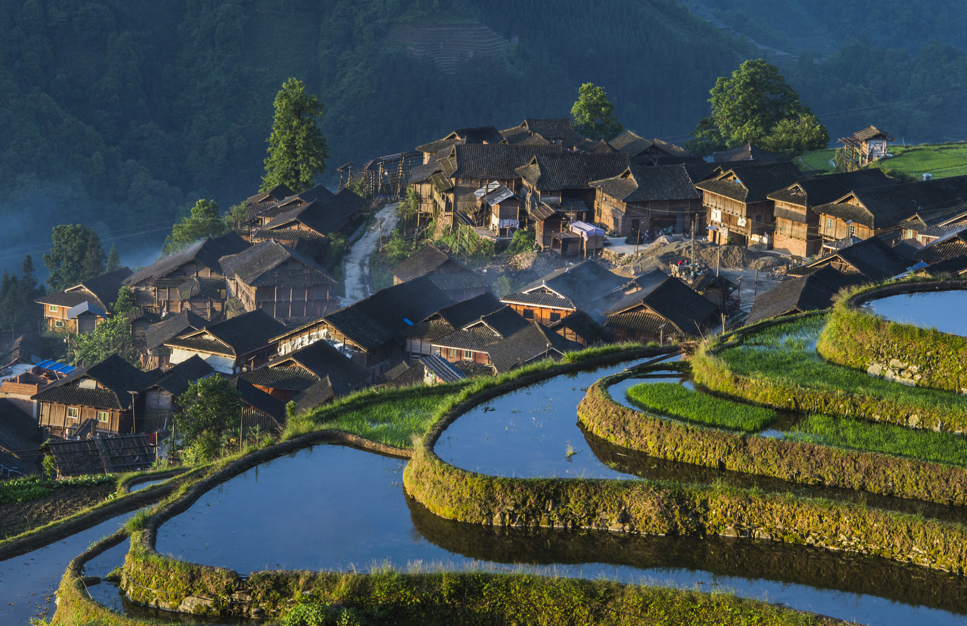 如果你正计划春季旅行,不妨前往贵定音寨一探究竟,相信你定会被其美丽