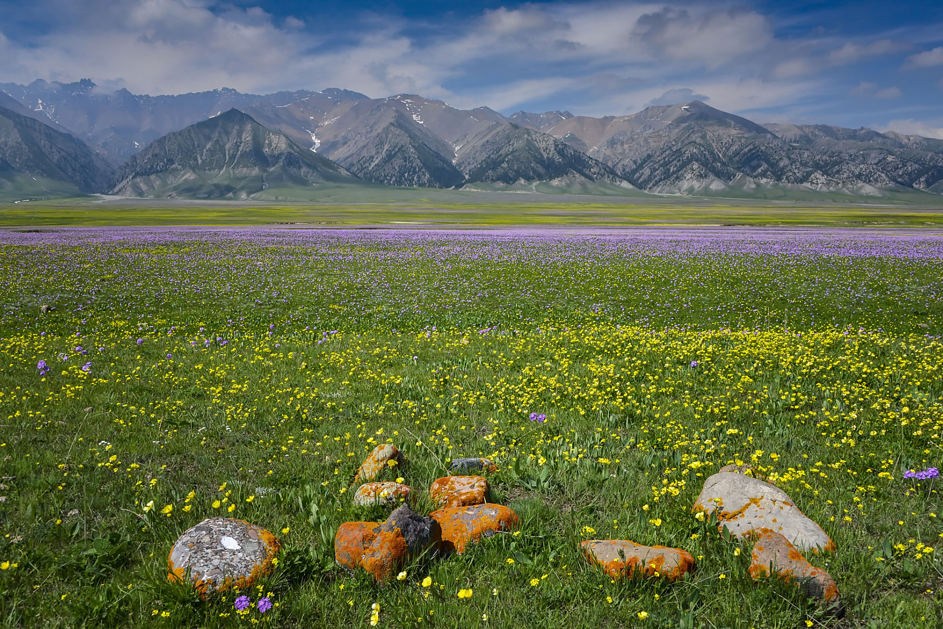 奇遇那拉提#新疆那拉提天仙台作为一道自然景观的风景线,在游客中
