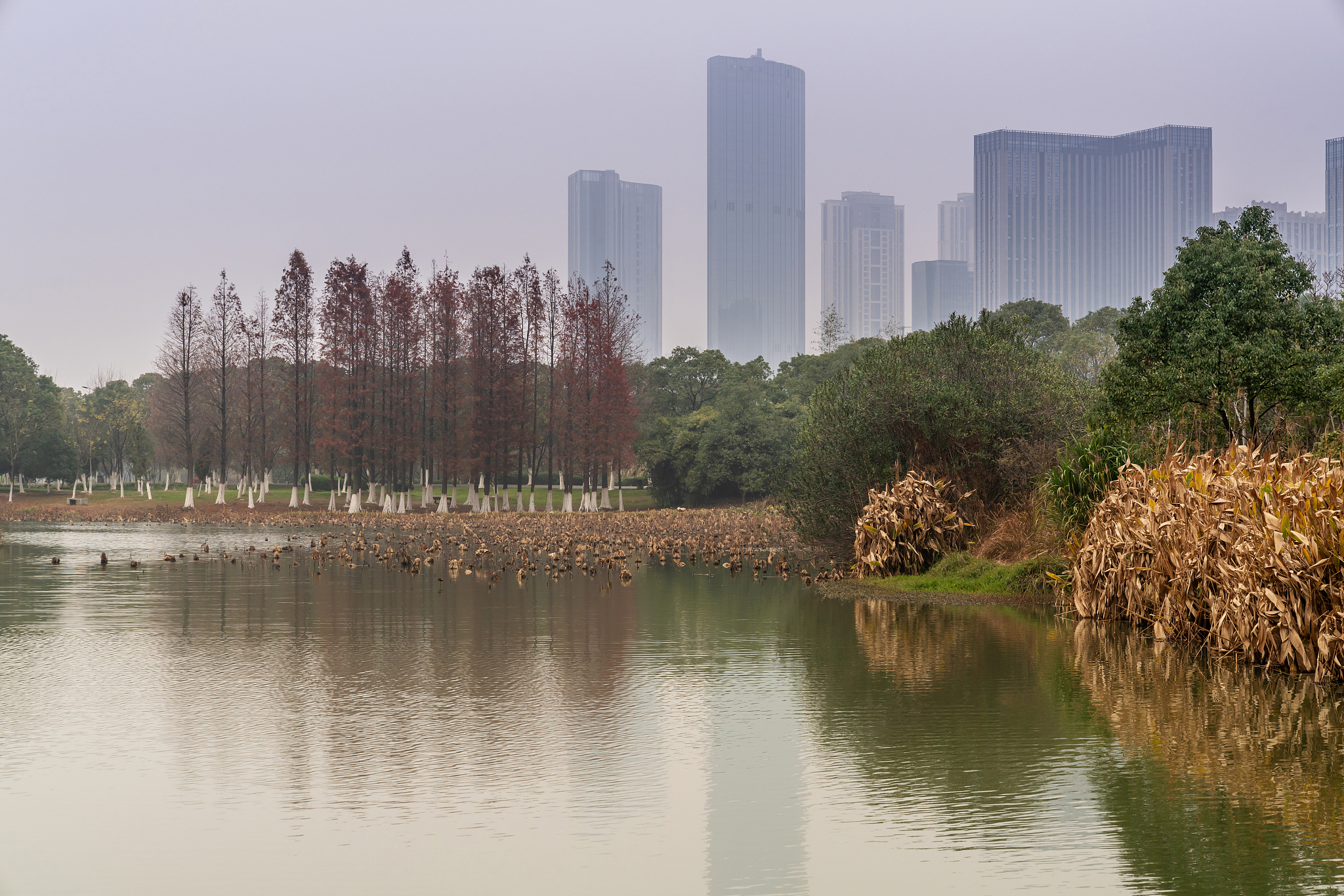 夏天在荆门市的汉江公园,风景怎样?