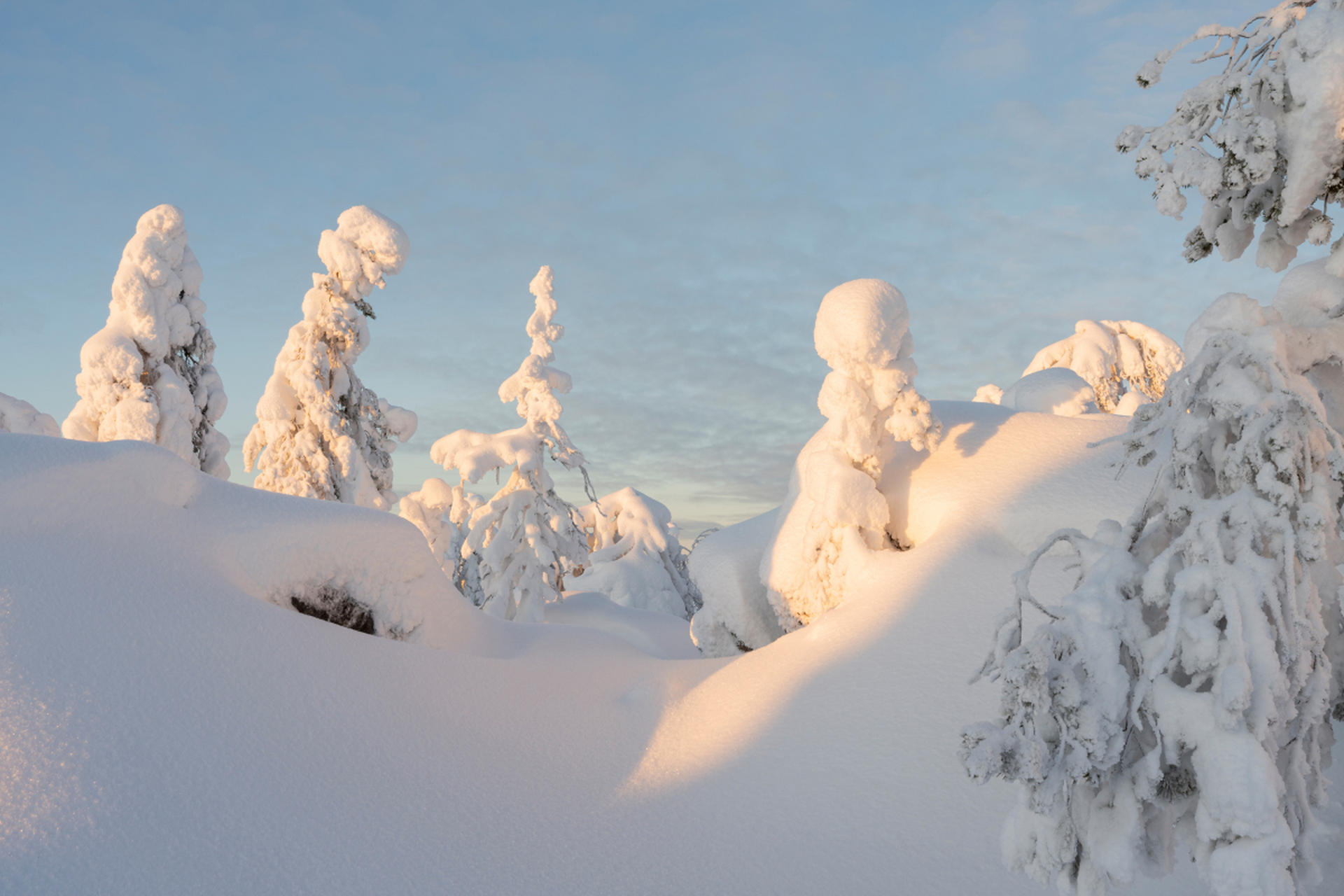 寒冷的冬季已经悄然而至,你是否也开始期待着白雪皑皑的景色和温暖的