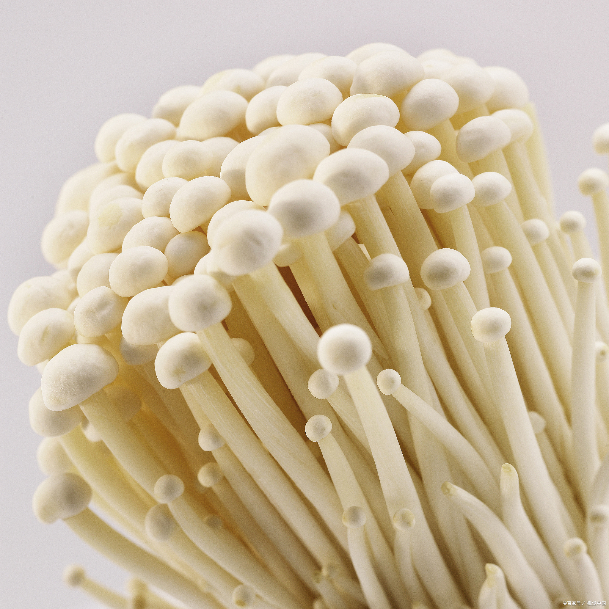 痫病患者可以吃金针菇吗?  首先,我们需要了解痫病患者的饮食原则.