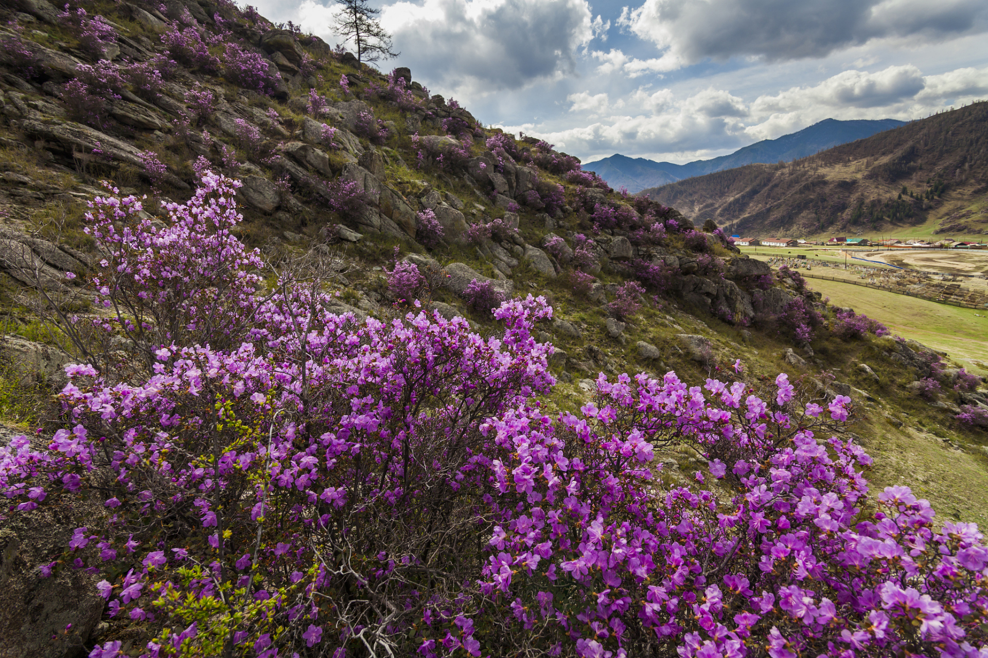 理塘# #四川旅游#  理塘河是雅砻江的支流,它从巴塘县北夏塞雪峰南坡