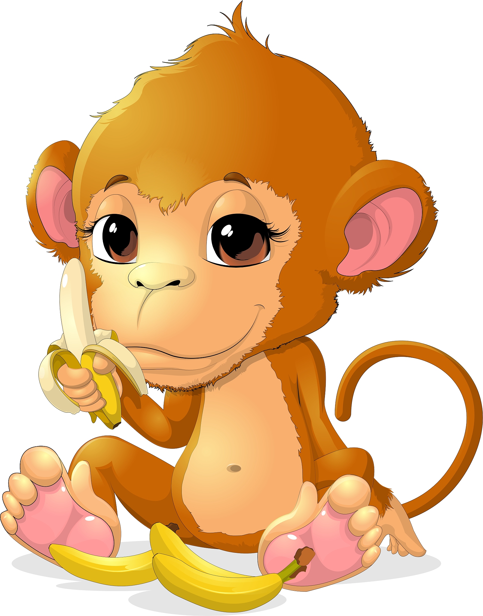 生肖猴子18年运势(属猴2018)