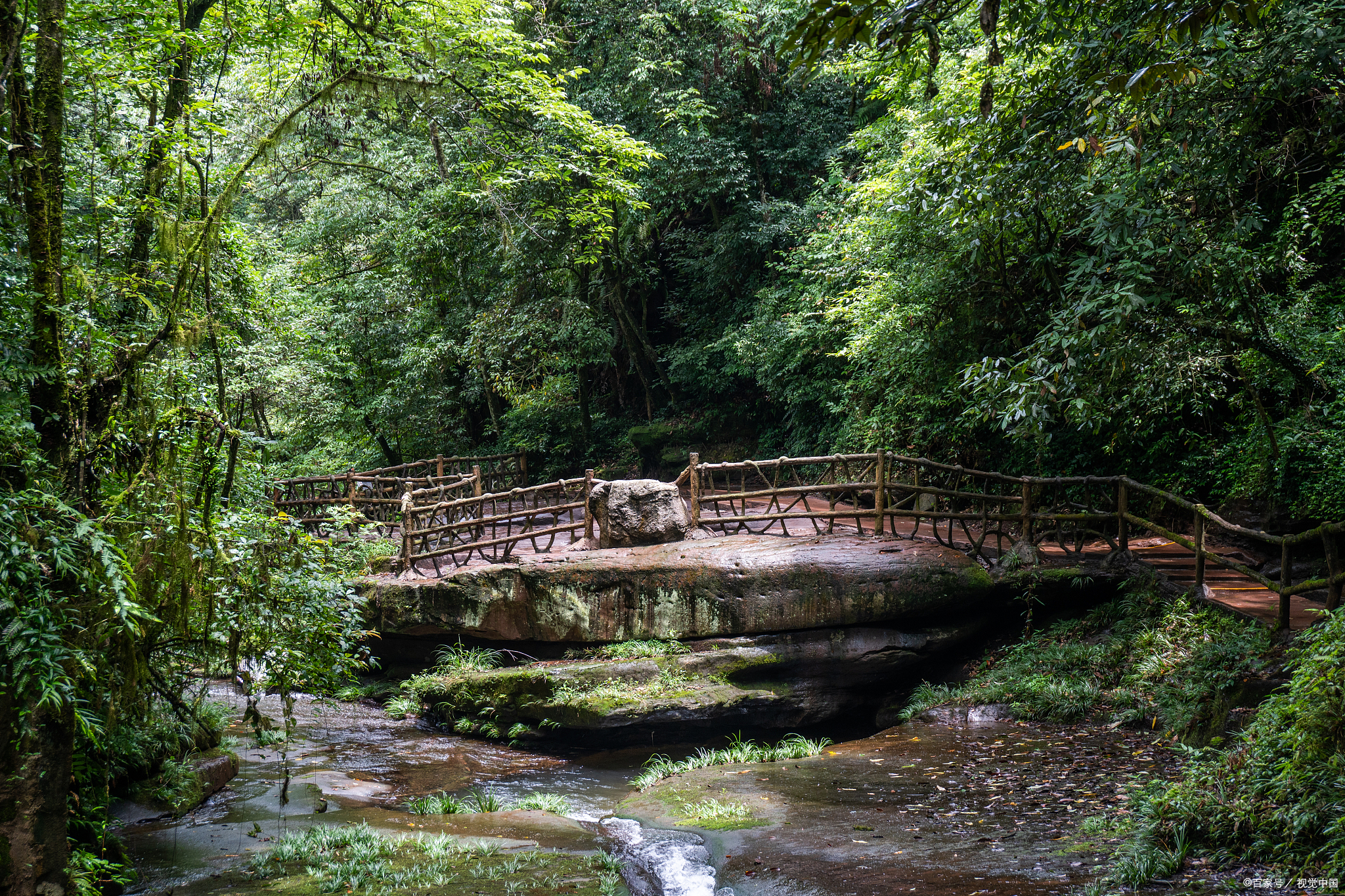 位于四川省雅安市雨城区碧峰峡镇,由两条峡谷构成,左峡谷长7公里,右