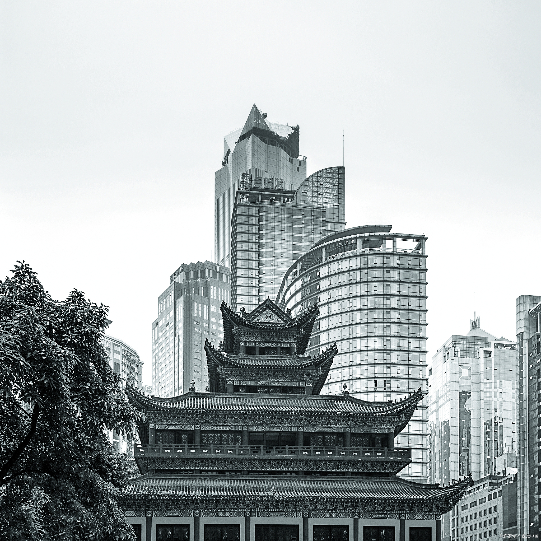 重庆钢塑复合土工格栅158