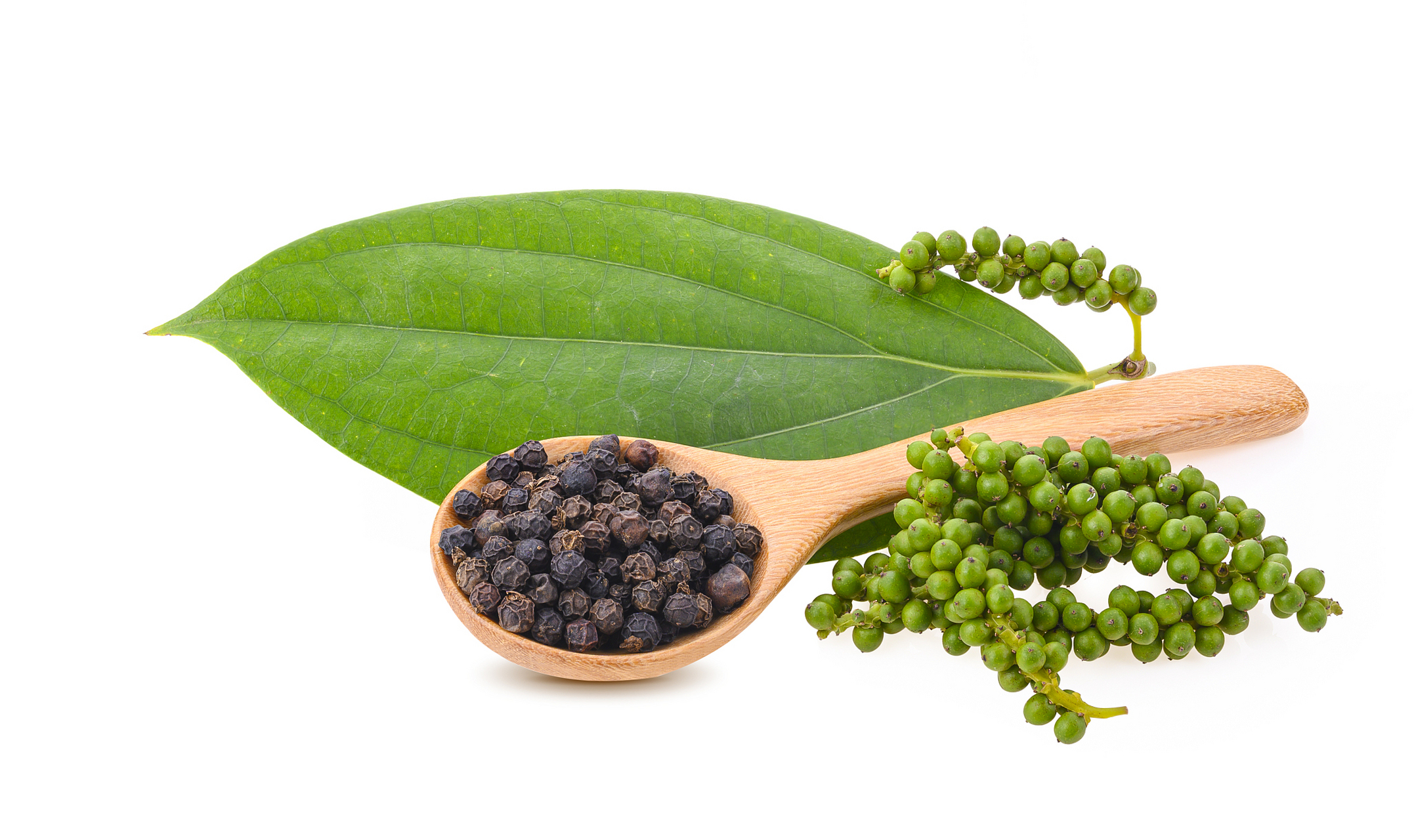 女贞子治高脂血症  高脂血症为血脂代谢发生紊乱,脂肪代谢或转运异常