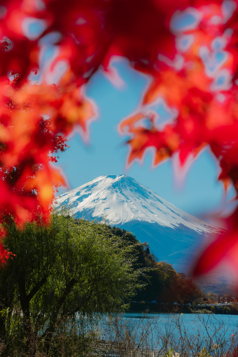 富士山之谜 自然奇观如何成日本之魂?快来探寻其独特魅力