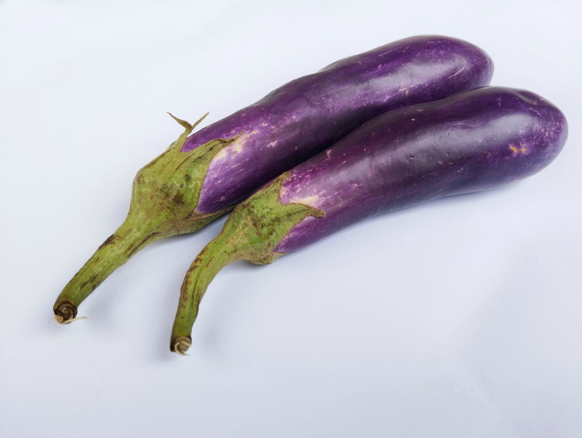 月经不调适合吃什么食物