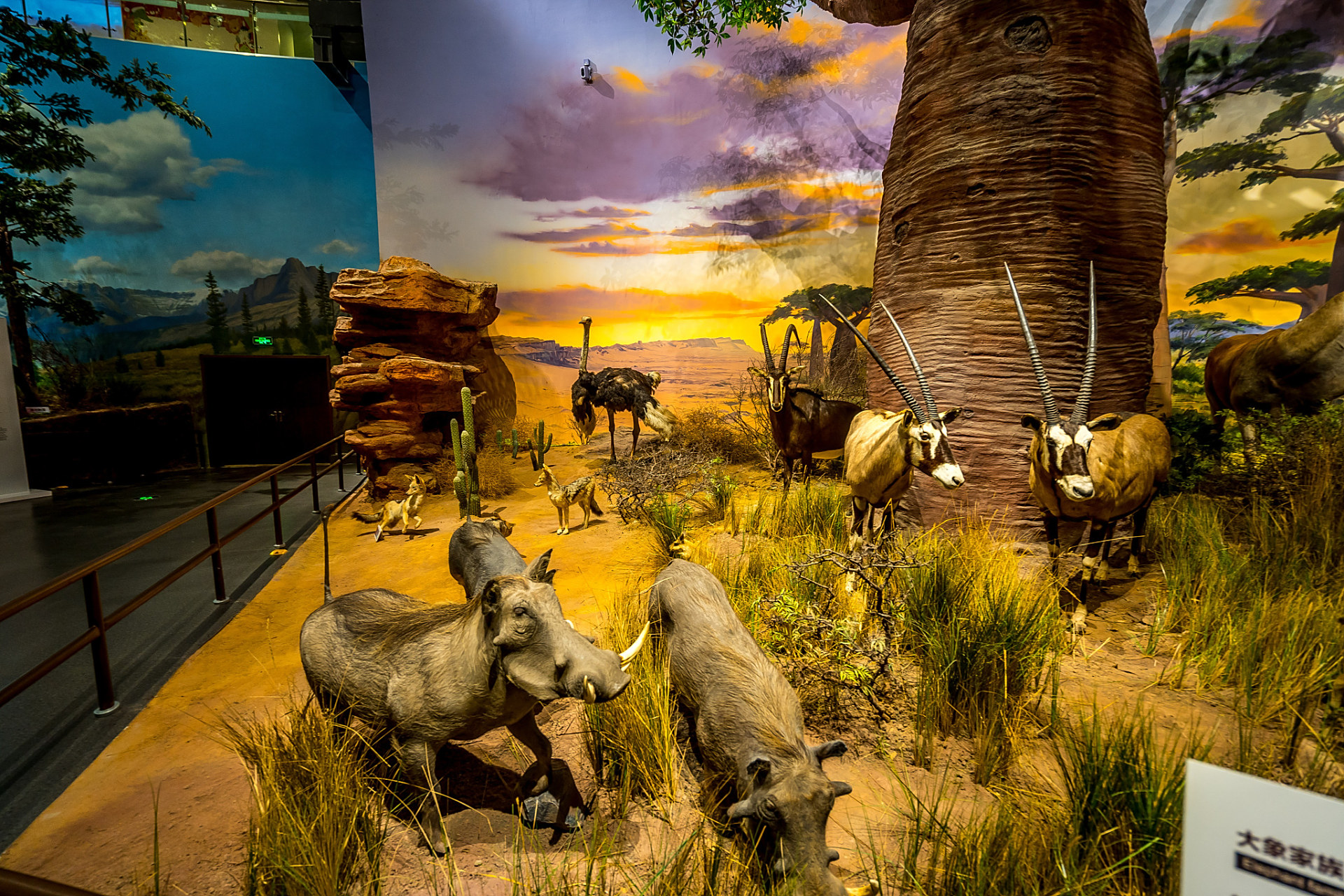 亚运fun体验# 亚运热潮与自然文化的交汇,浙江自然博物院安吉馆的你