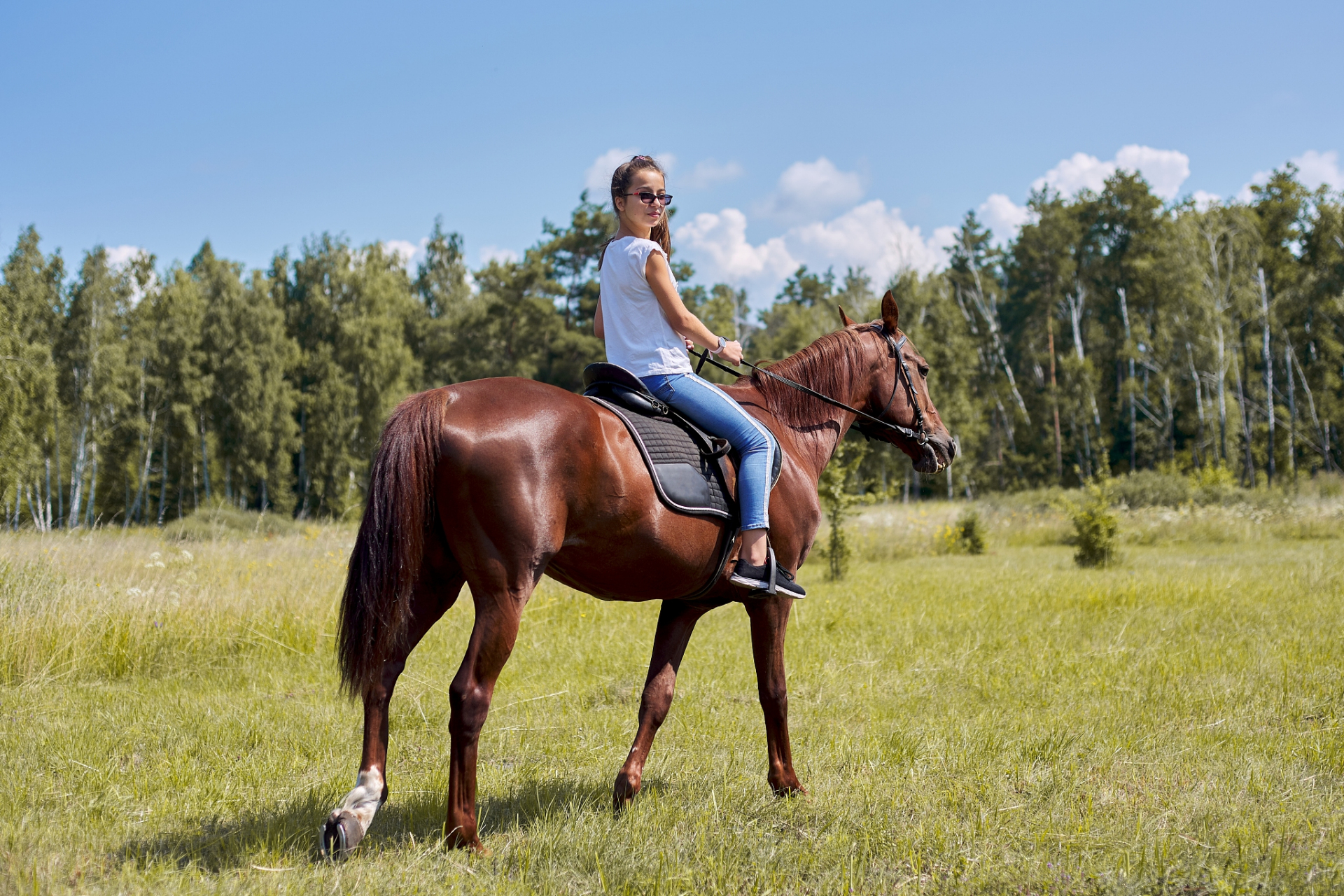 女子体验骑马项目时坠马摔断11颗牙,经调解马场赔付27万元!