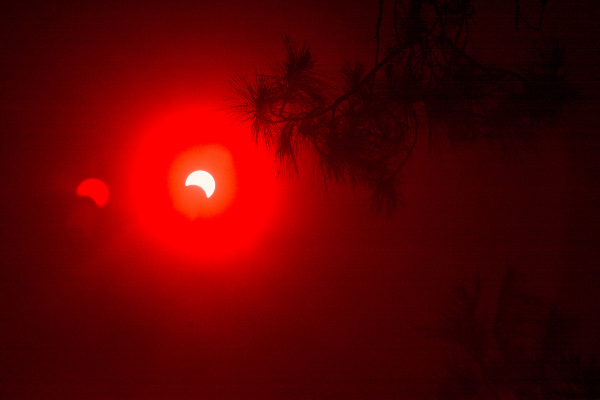 [原文:发生红色的月亮是怎么回事]