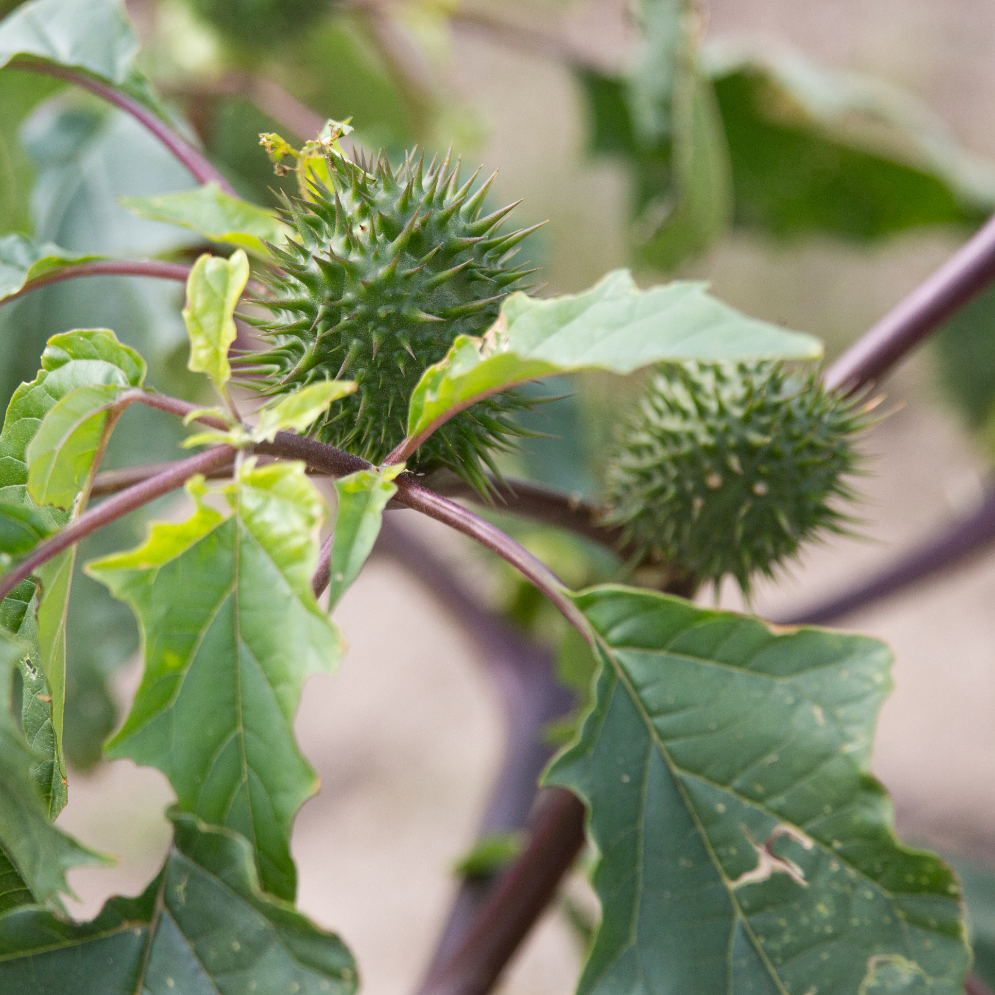 苦累中,懂得安慰自己