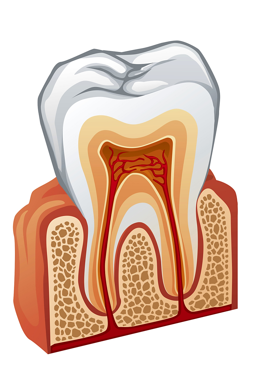 牙龈炎的症状和治疗方法  牙龈炎是指牙龈组织的炎症,通常由细菌感染