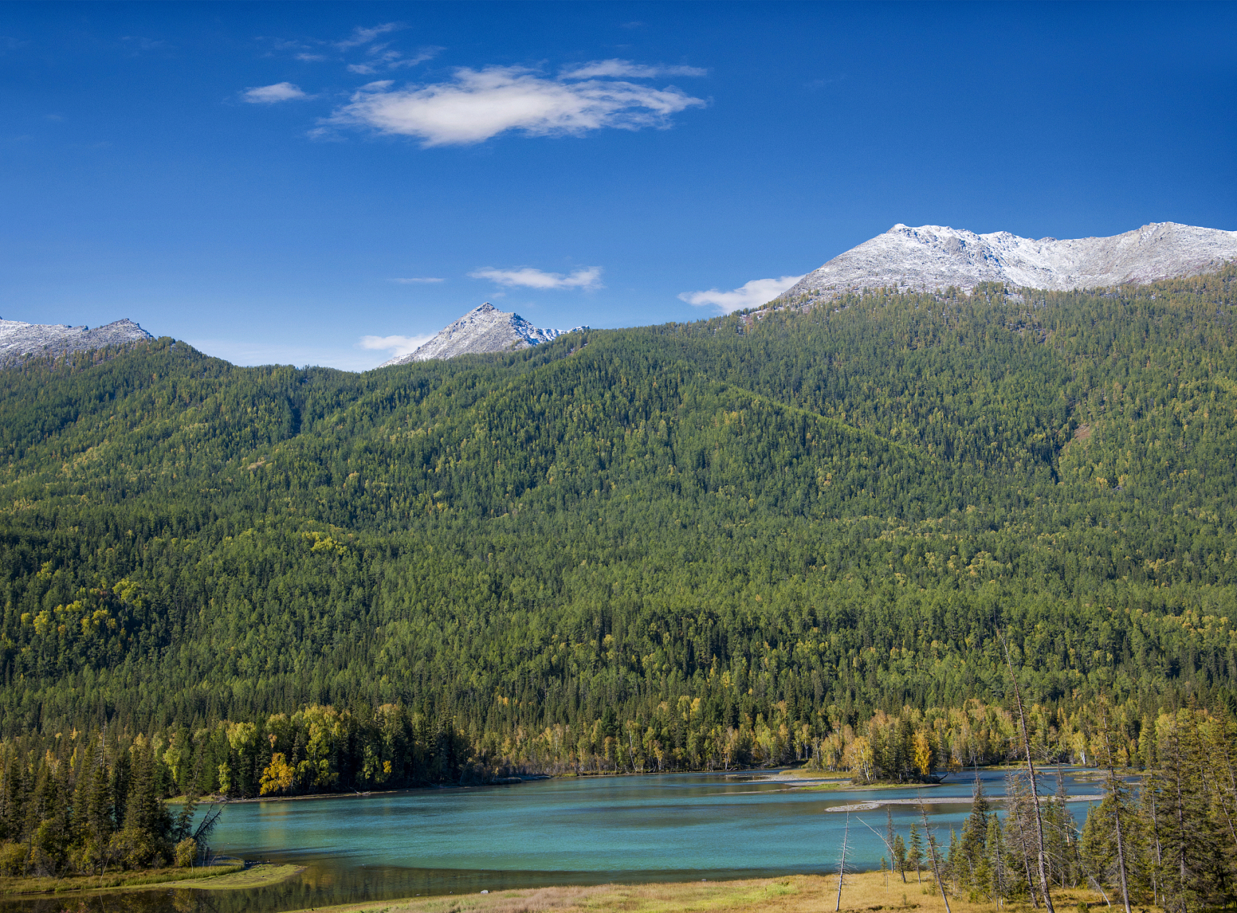 新疆那拉提喀纳斯是中国西北地区著名的旅游胜地,不仅拥有壮丽的风 