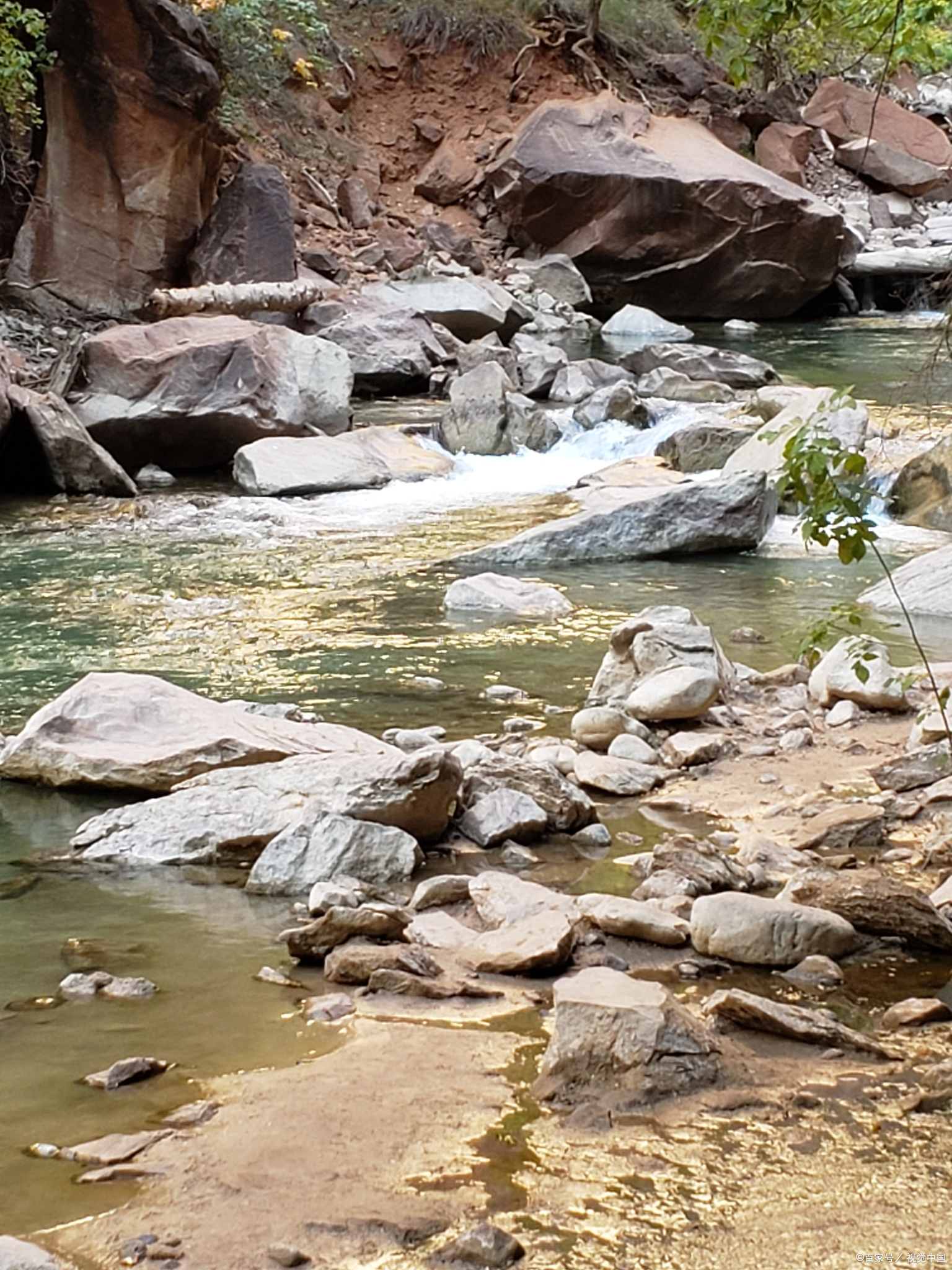 朝阳槐树洞溪流,叮咚作响清澈见底,亲子嬉水乐!