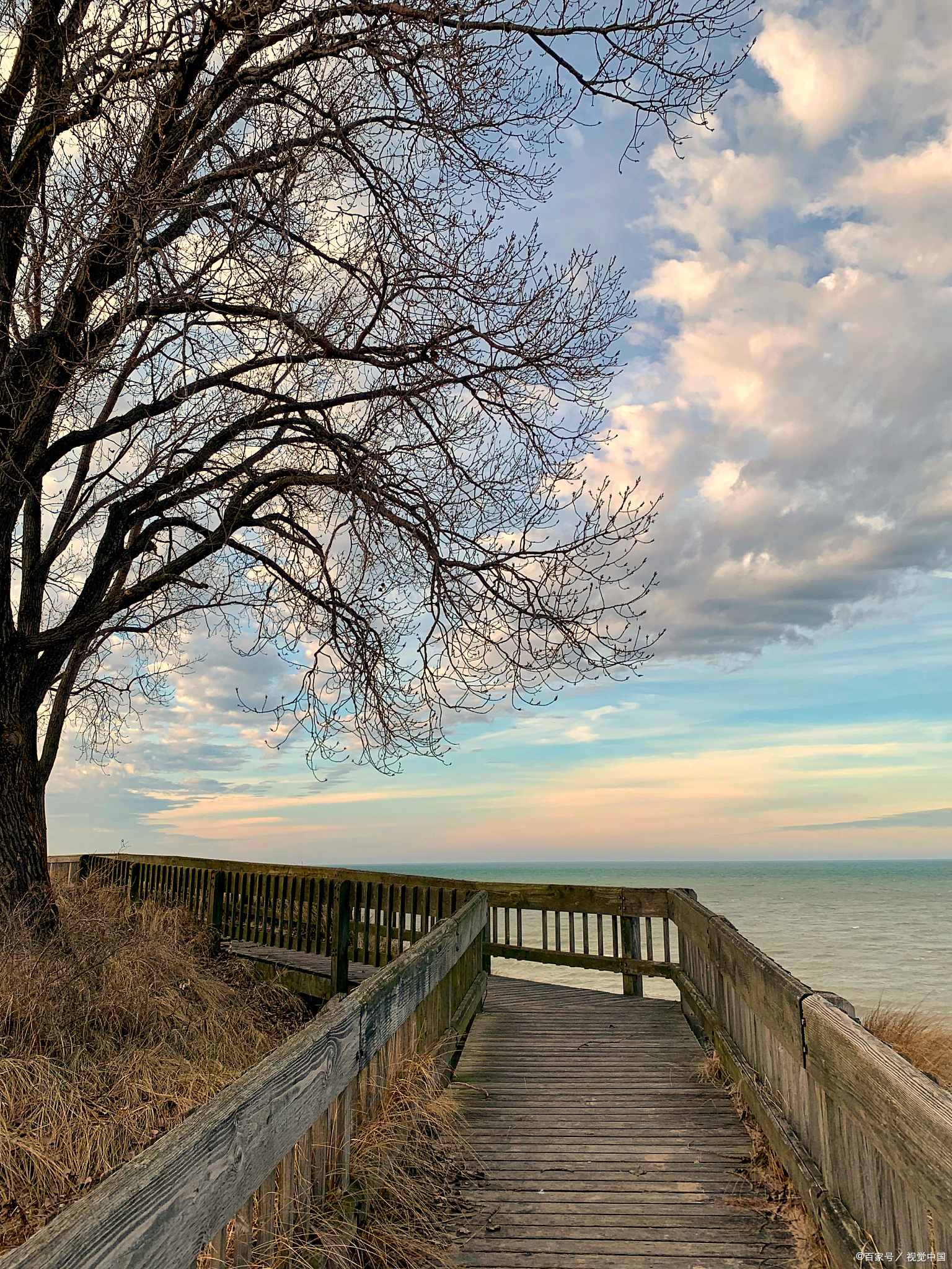 多少个朦胧的黑夜,辗转床头无眠,抚摸仍跳动的脉搏与尚有温热的身体