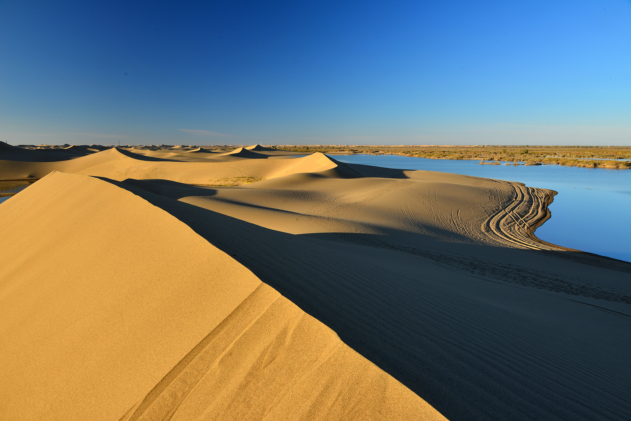 隐秘的自然宝藏:中国最远的陆地沙漠,古尔班通古特沙漠