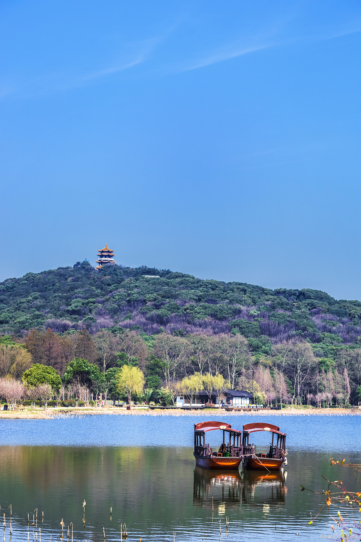 动态连更挑战#  晨曦微露,鼋头渚一日游秘籍大公开!