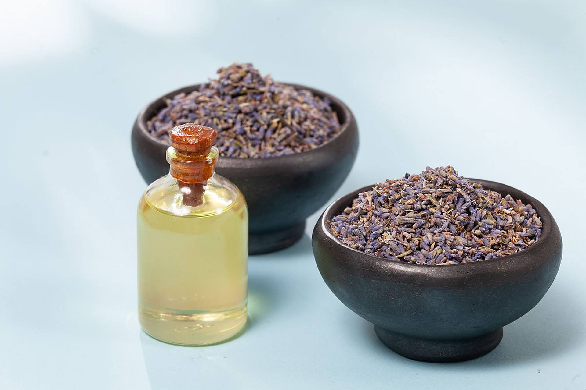 女贞子和什么搭配泡酒?