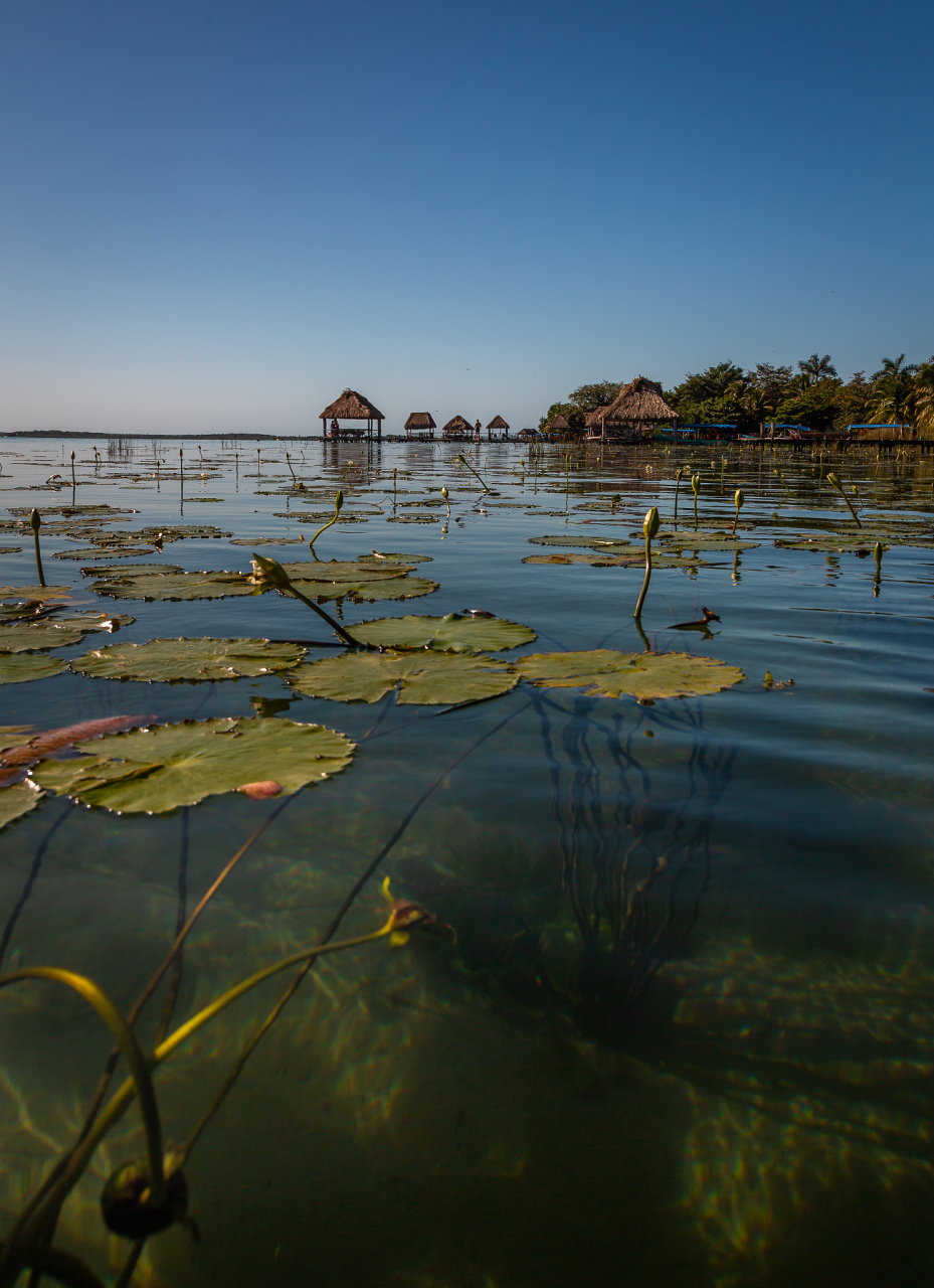 云南旅游景点推荐:草海. 草海在泸沽湖东南面,又名南海子,八仙海.