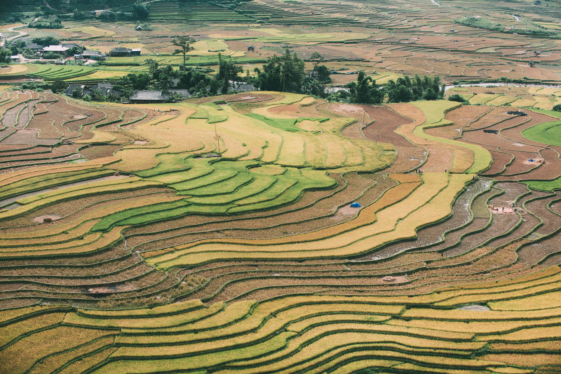 名句欣赏(十)地势坤,君子以厚德载物 地势坤,如同大地之深沉与宽广,其