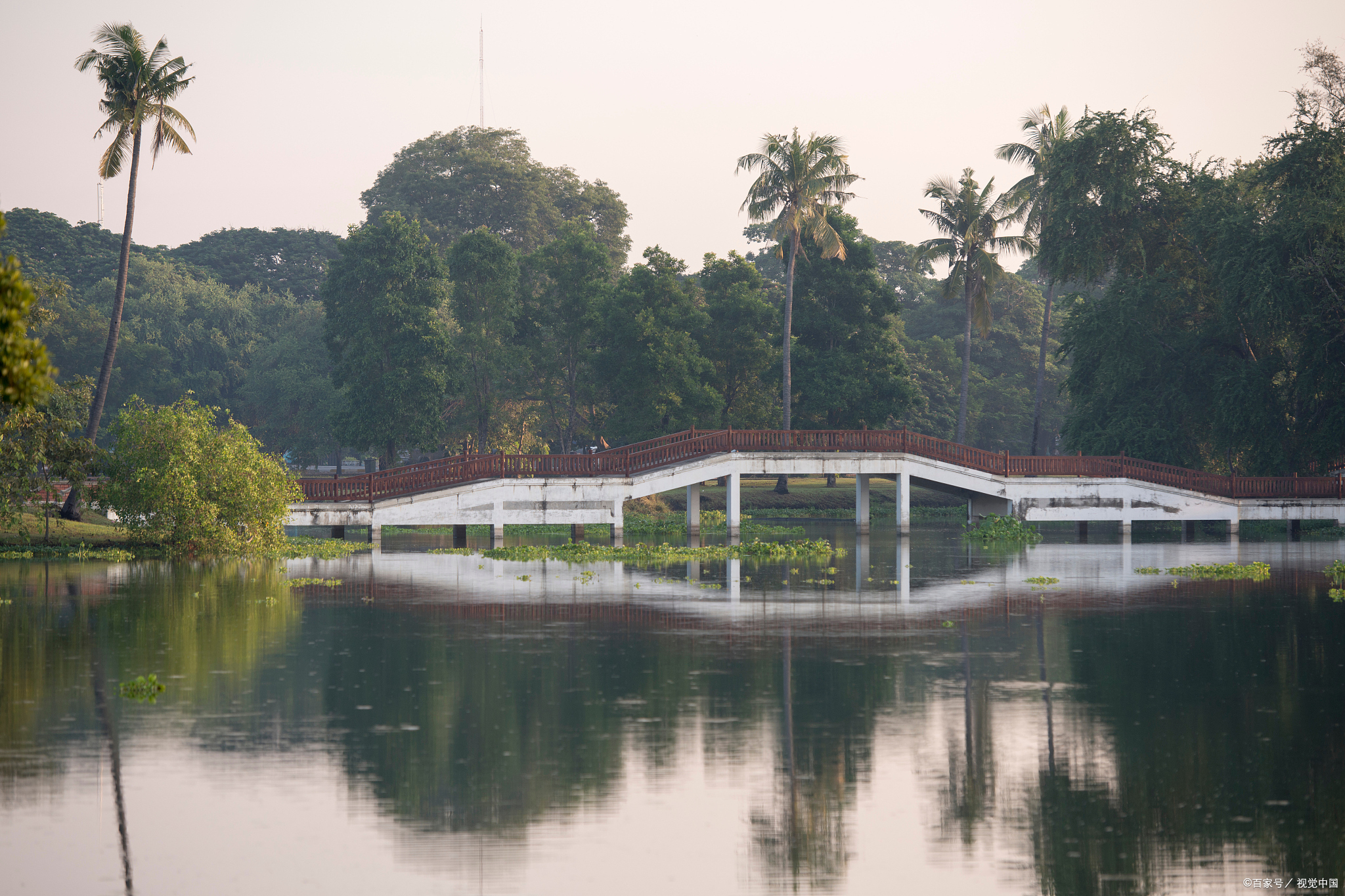 鸡笼顶 鸡笼顶是阳春市的一个著名山峰,以其独特的山峰形状和美丽的