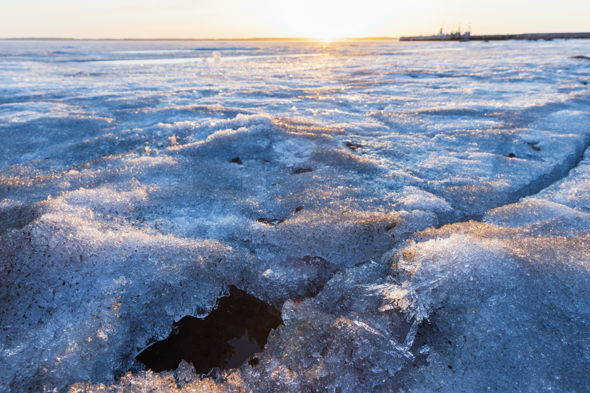 背叛,作为婚恋关系经营的底线,你若轻易选择了原谅