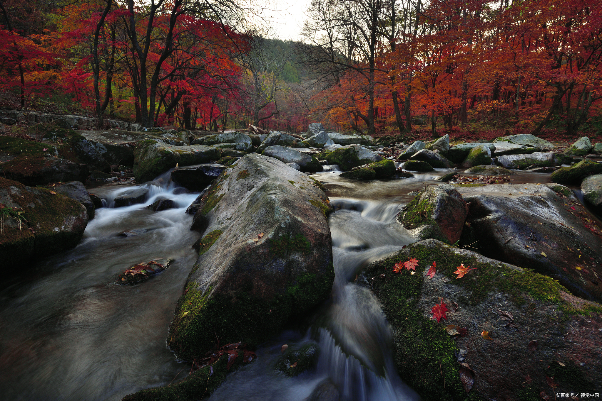 米仓山位于四川省巴中市南江县北部,地处秦巴山区(秦岭—大巴山)的米