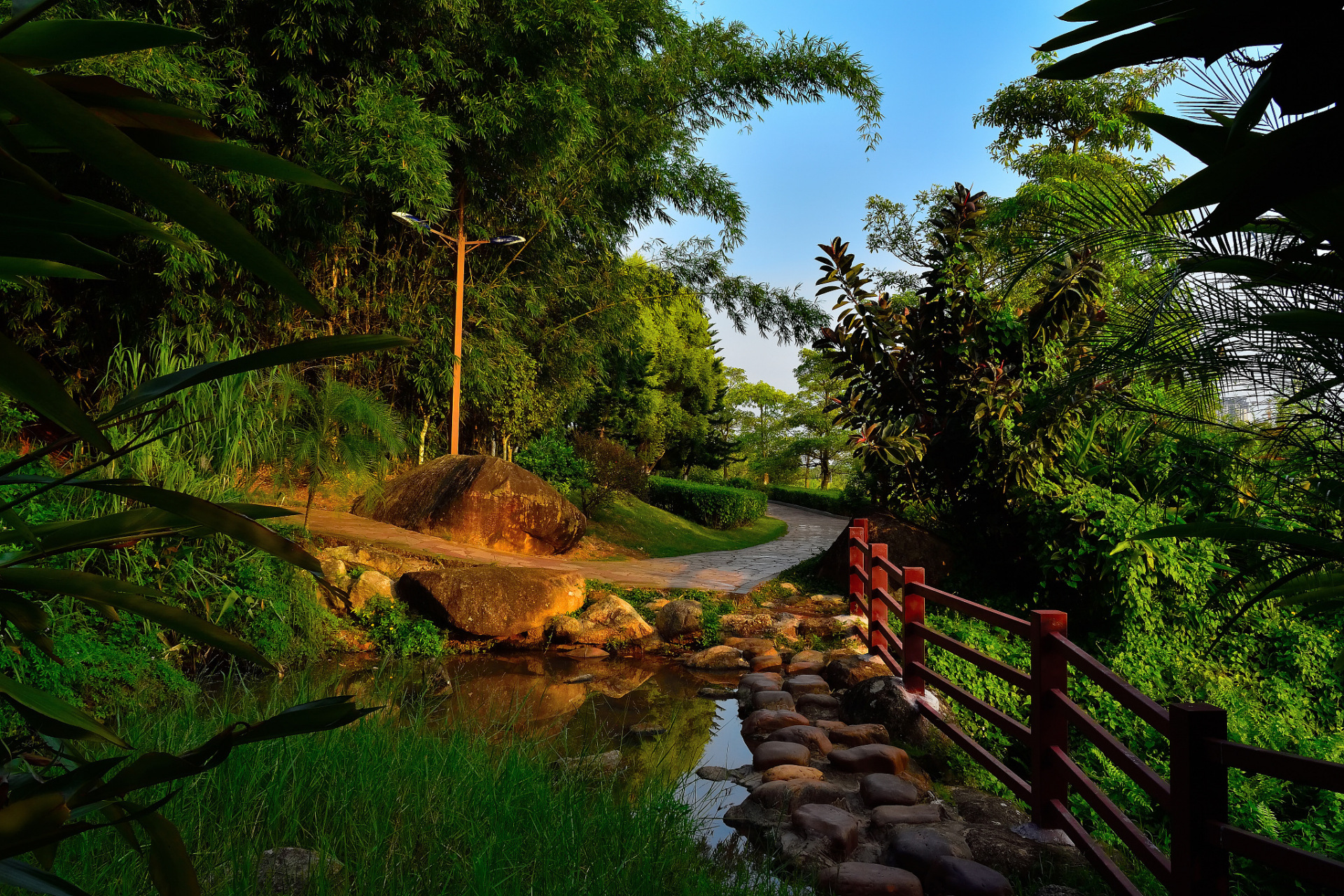 镜头里的春天# 春天的呼吸,长沙森林公园徒步之旅,是一场与大自然