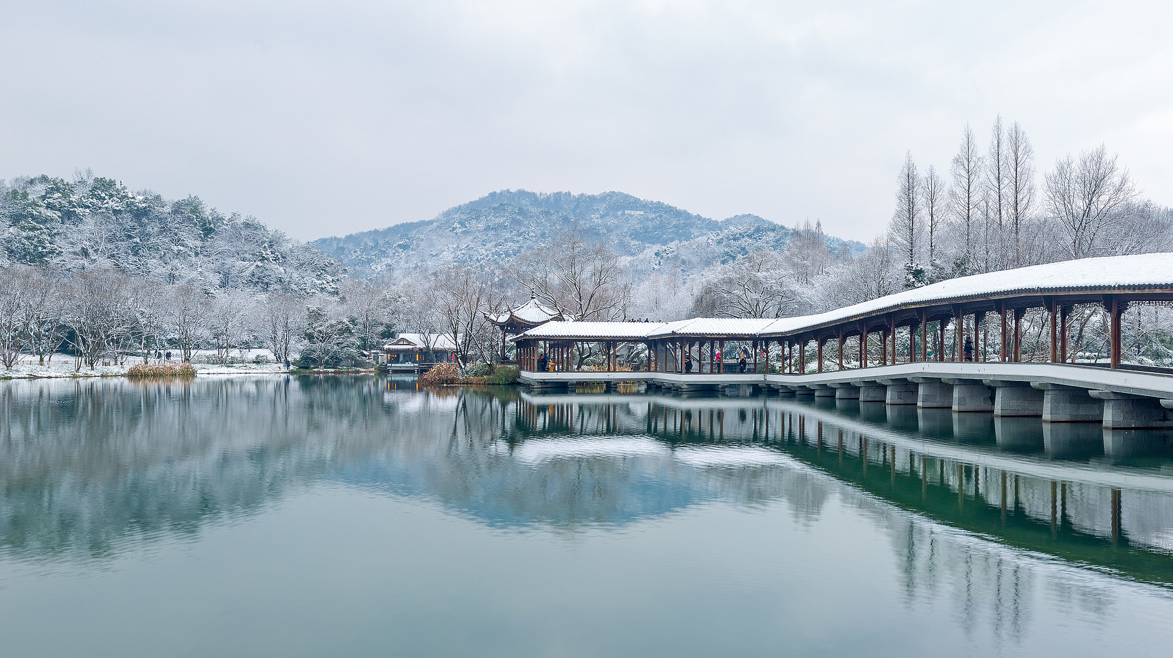 杭州城市雪景图片