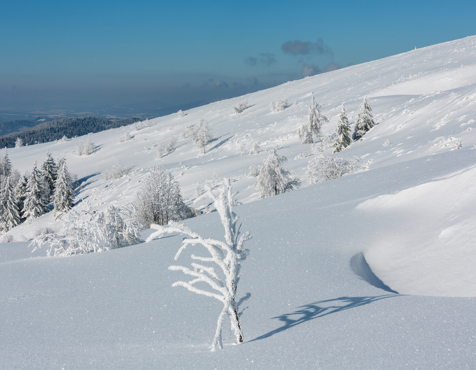 仙女山下雪的图片图片