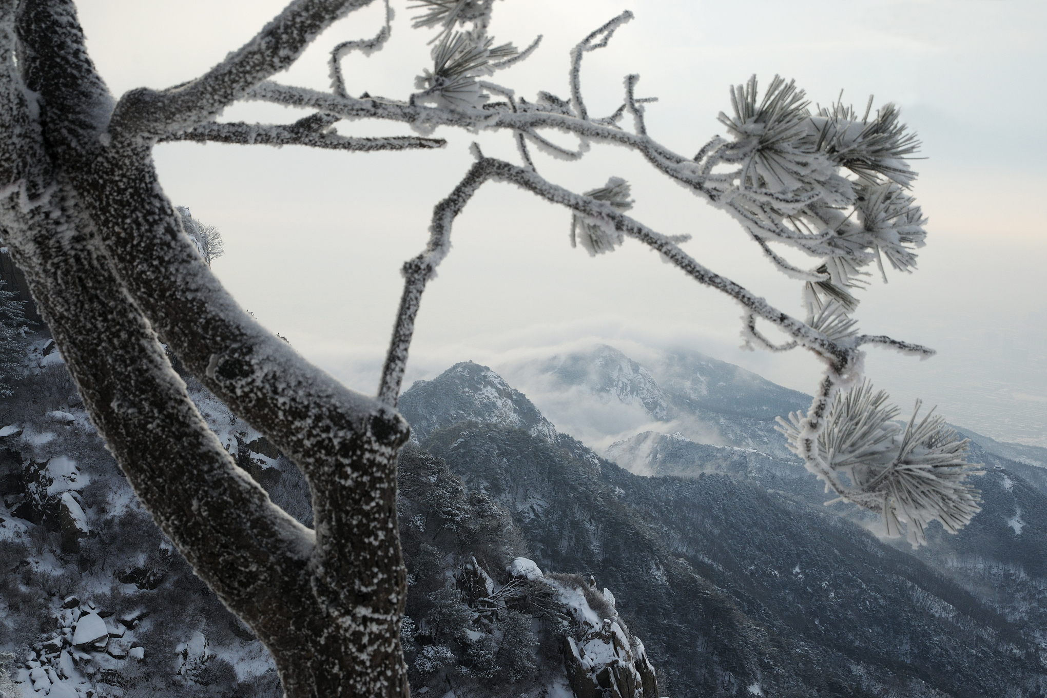 泰山雪景壁纸图片