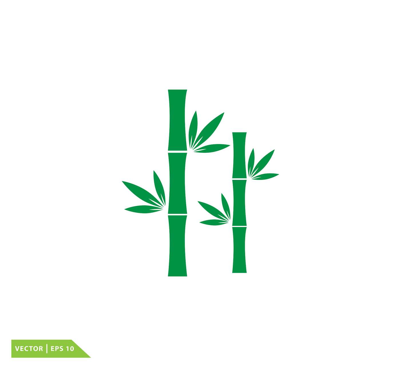 说文解字# "笨"字为什么是竹字头 和竹子有什么关系 "笨"字的结构