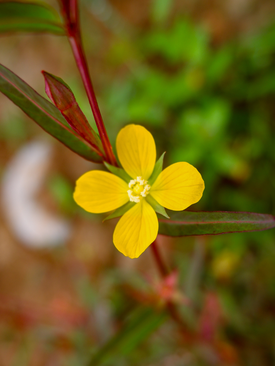人生,若活得太通透,也会非常累