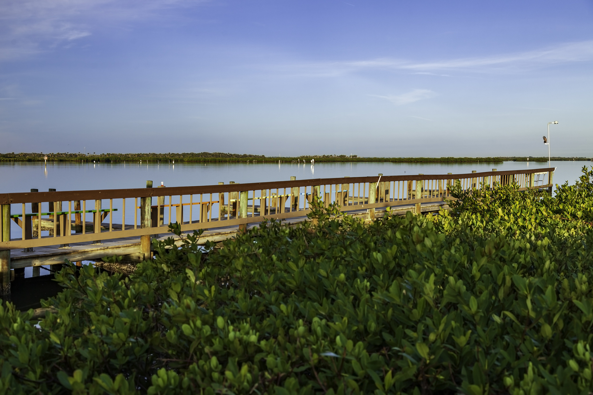 走进鄂州梁子湖湿地公园感受湖光山色美景的同时可以品尝到美味的梁子