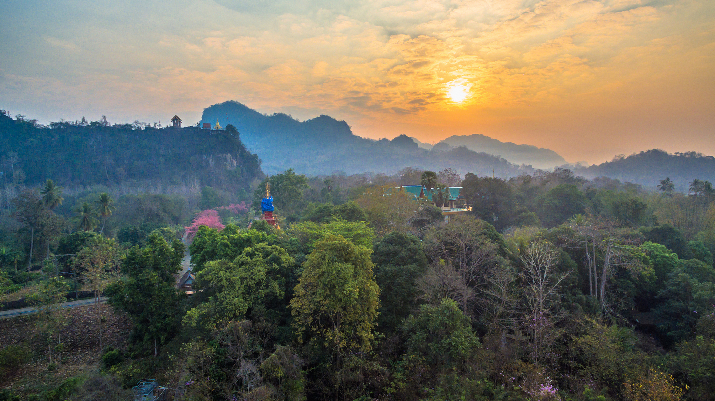 歌乐山国家森林公园,森林覆盖率达99%,有水杉,孔雀杉,红豆杉,美国