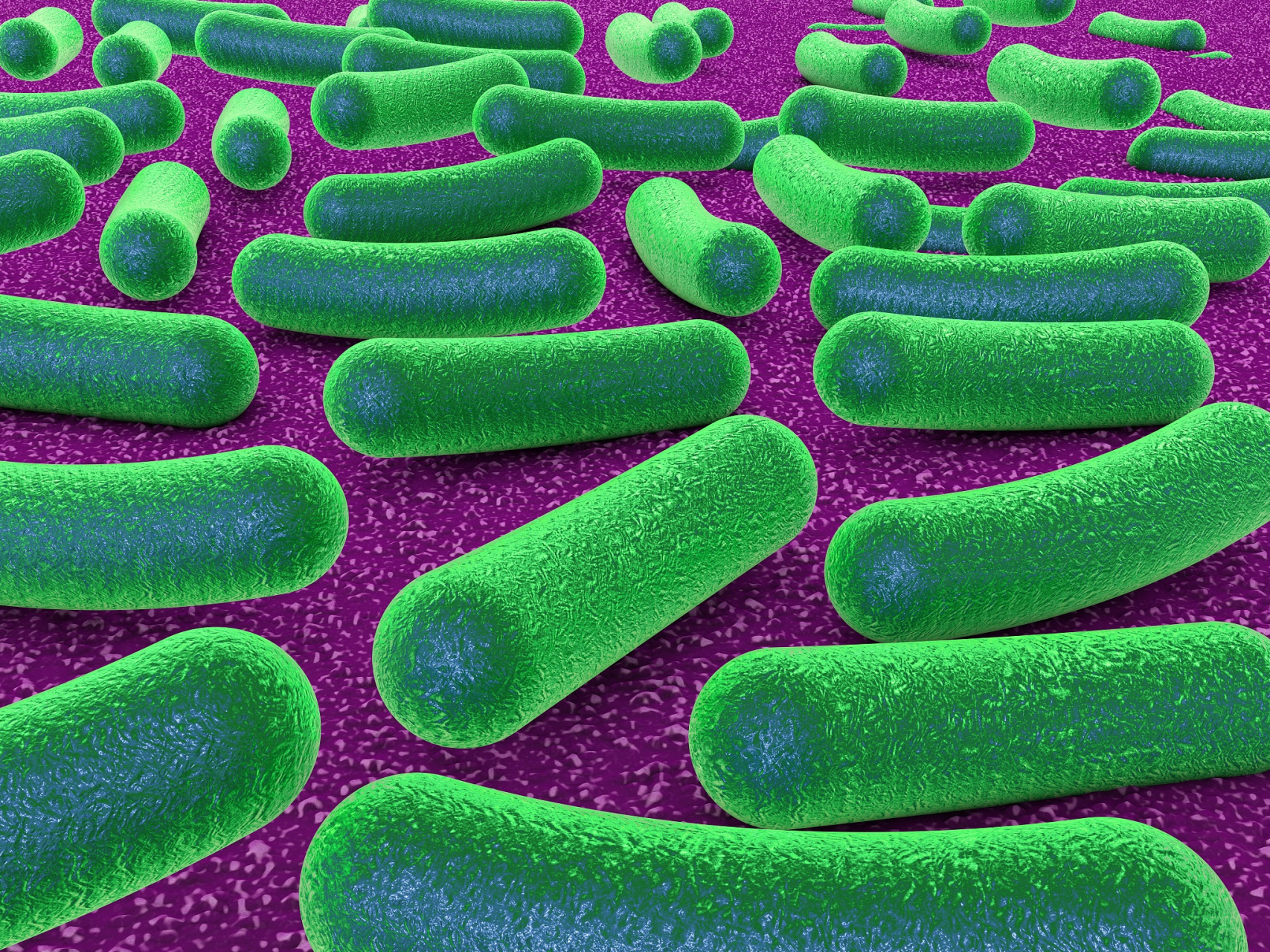 新型菌株的开发受到市场关注,如贝莱斯芽孢杆菌和莫海威芽孢杆菌.