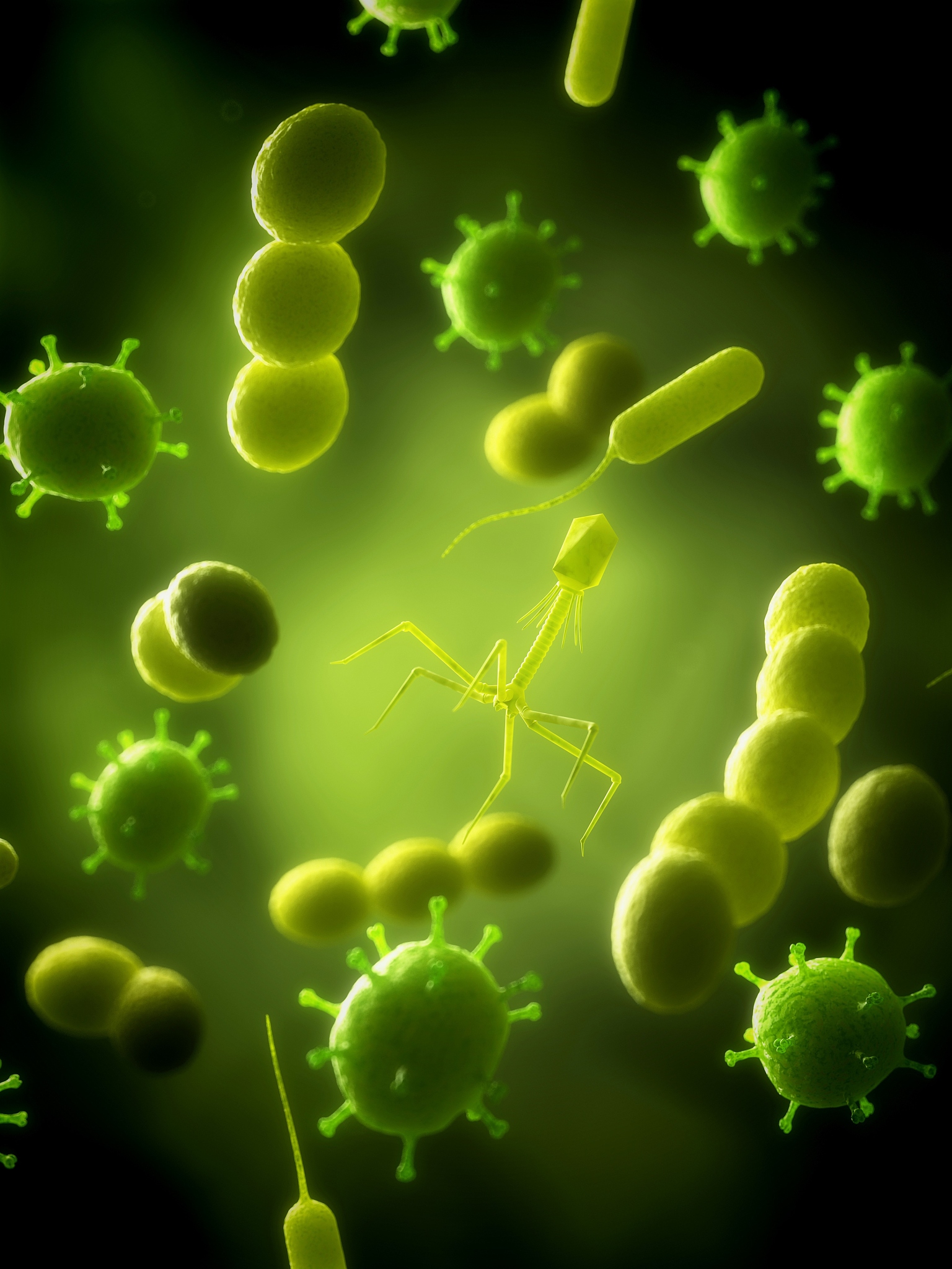 冰箱里的"细菌狂欢夜":隔夜菜不加热的隐形战争