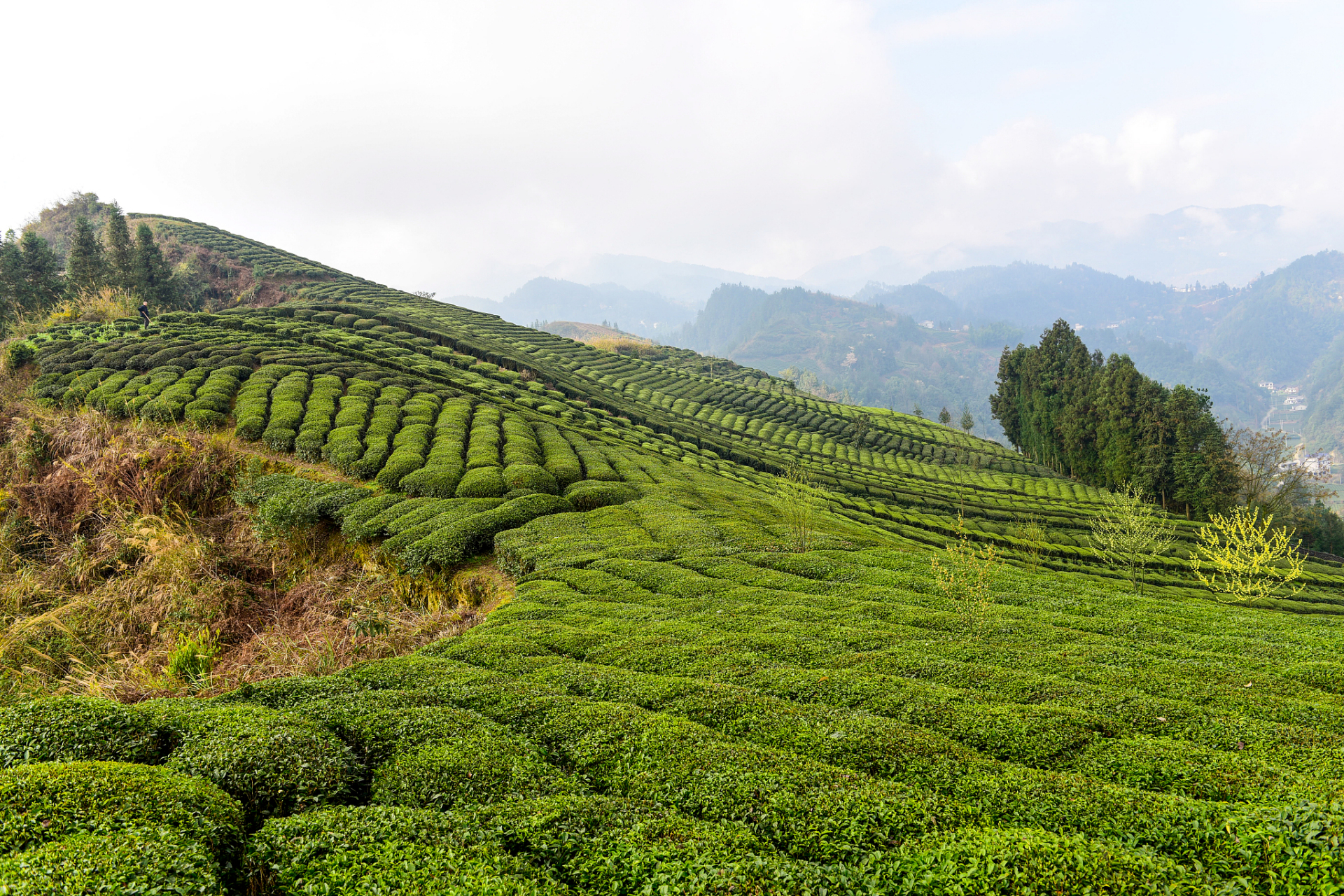 遂川旅游景点图片