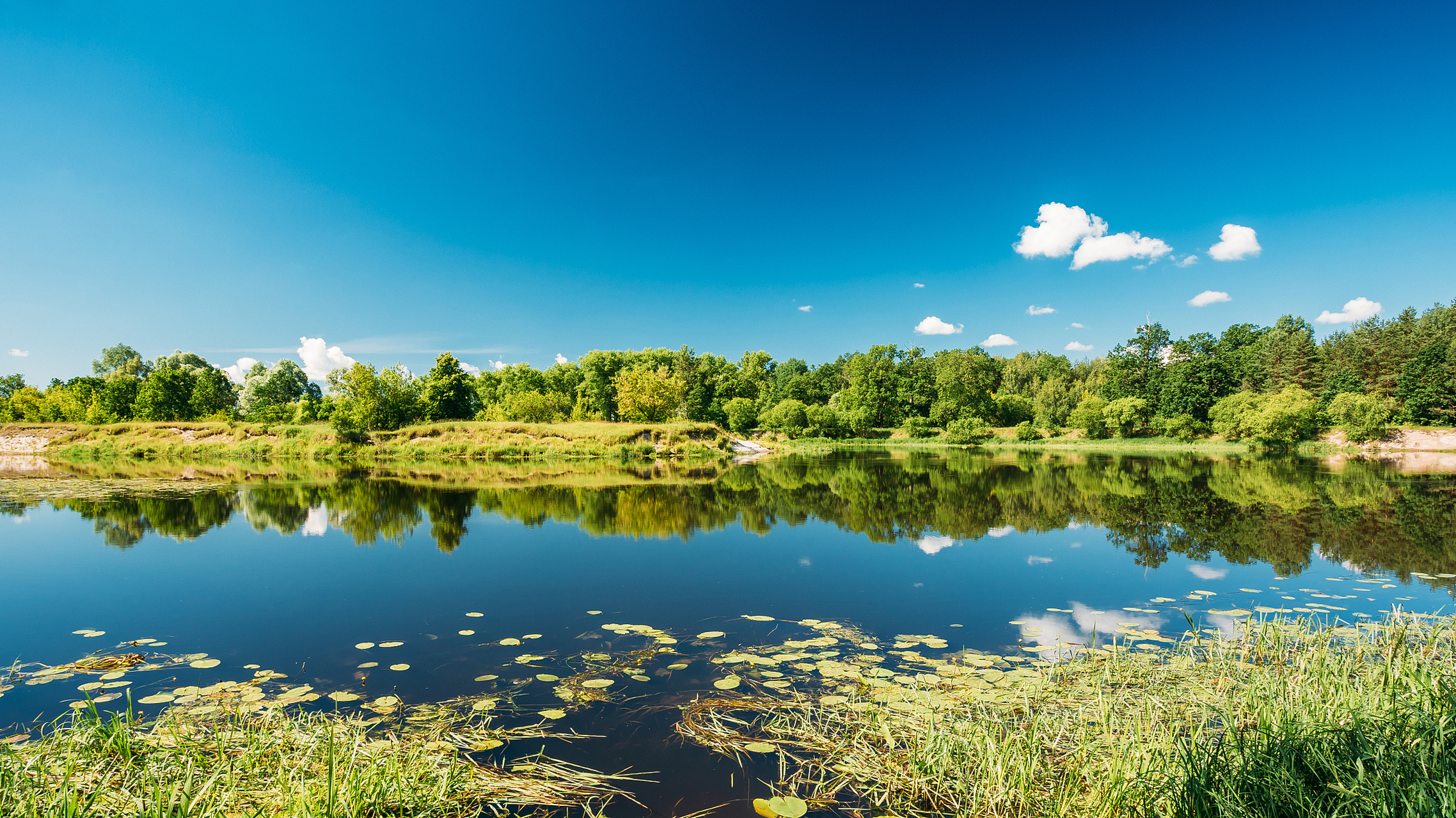 我国生态文明建设成就显著,美丽中国画卷徐徐展开 党的以来,我国在