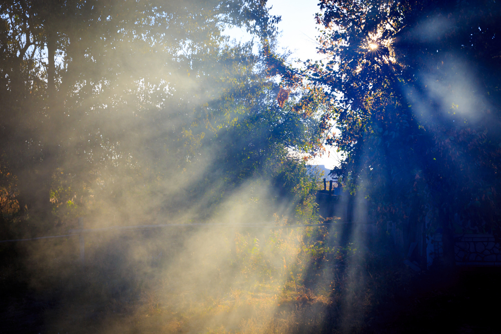 详细步骤 以下是在photoshop中添加丁达尔光效的步骤: 第一步,打开你