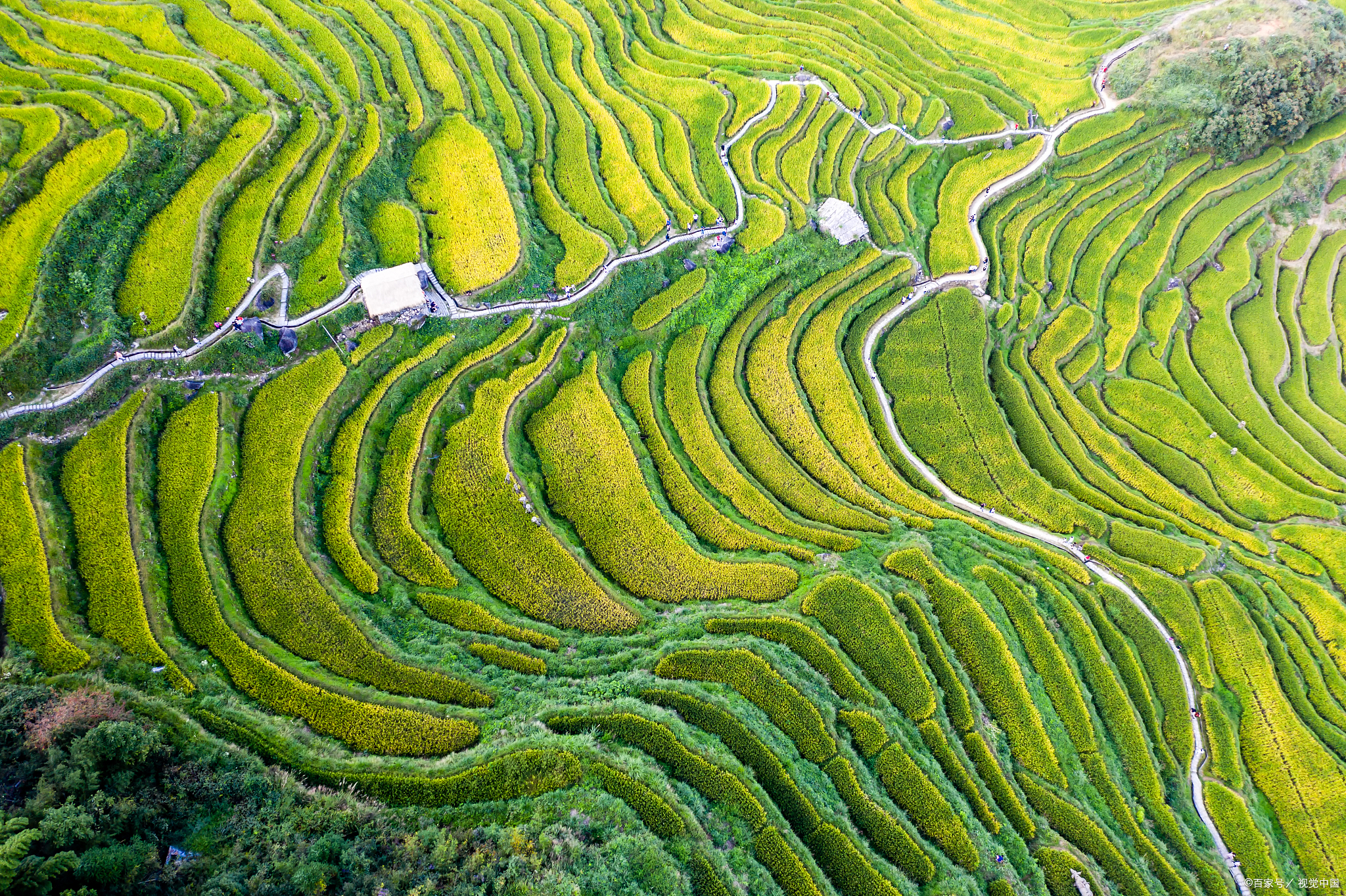 云和梯田景区介绍图片