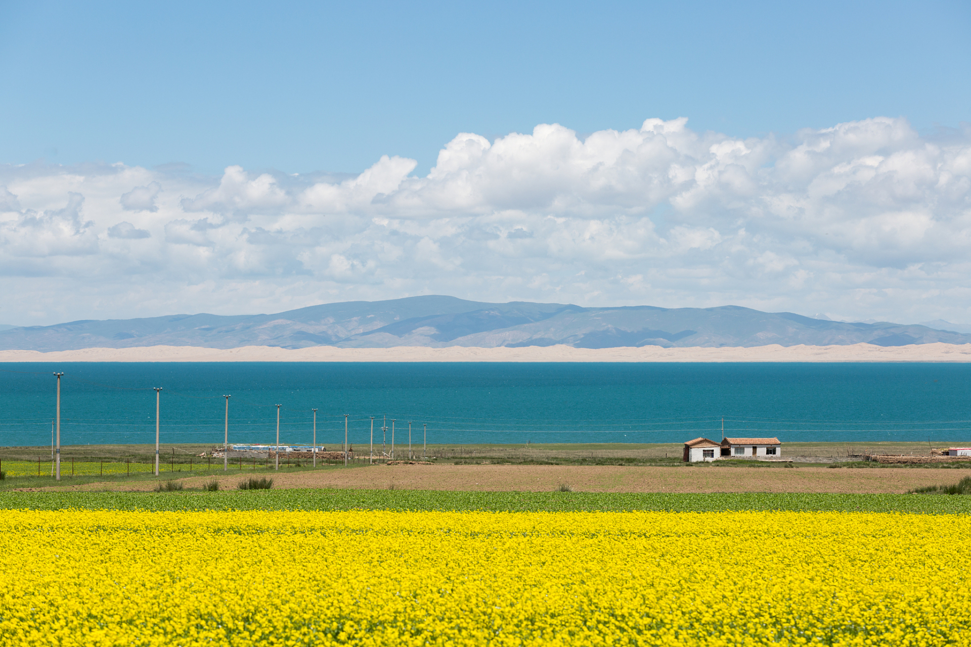 冷门旅游城市推荐# #旅游攻略# 青海省果洛藏族自治州的玛多县  玛多