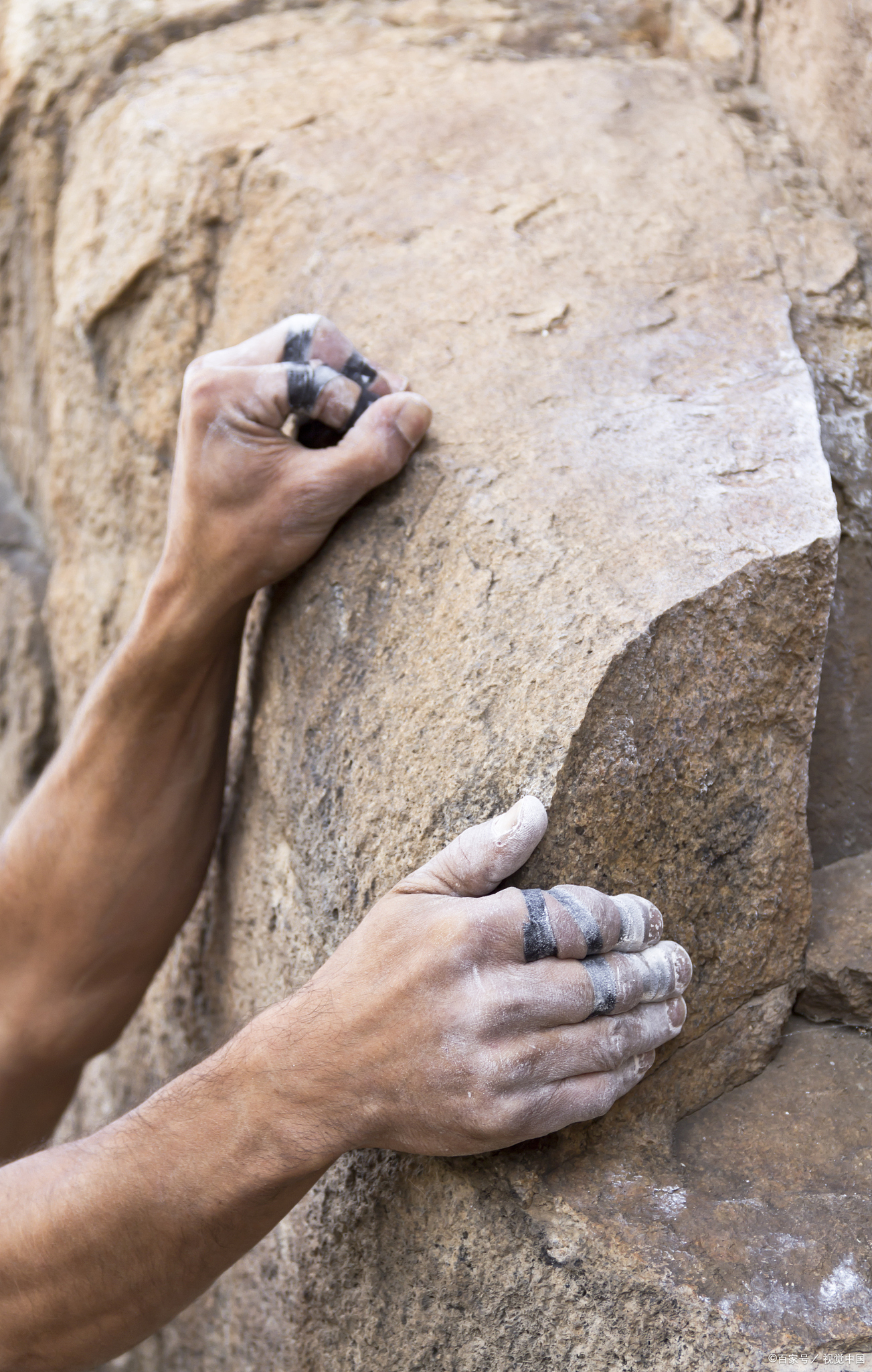 他自己搬起石头砸自己的脚