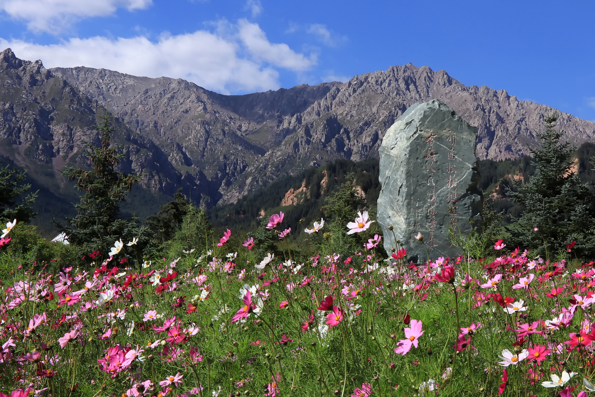 奇遇那拉提#那拉提雪莲谷位于中国新疆巴音郭楞蒙古自治州,是一个以