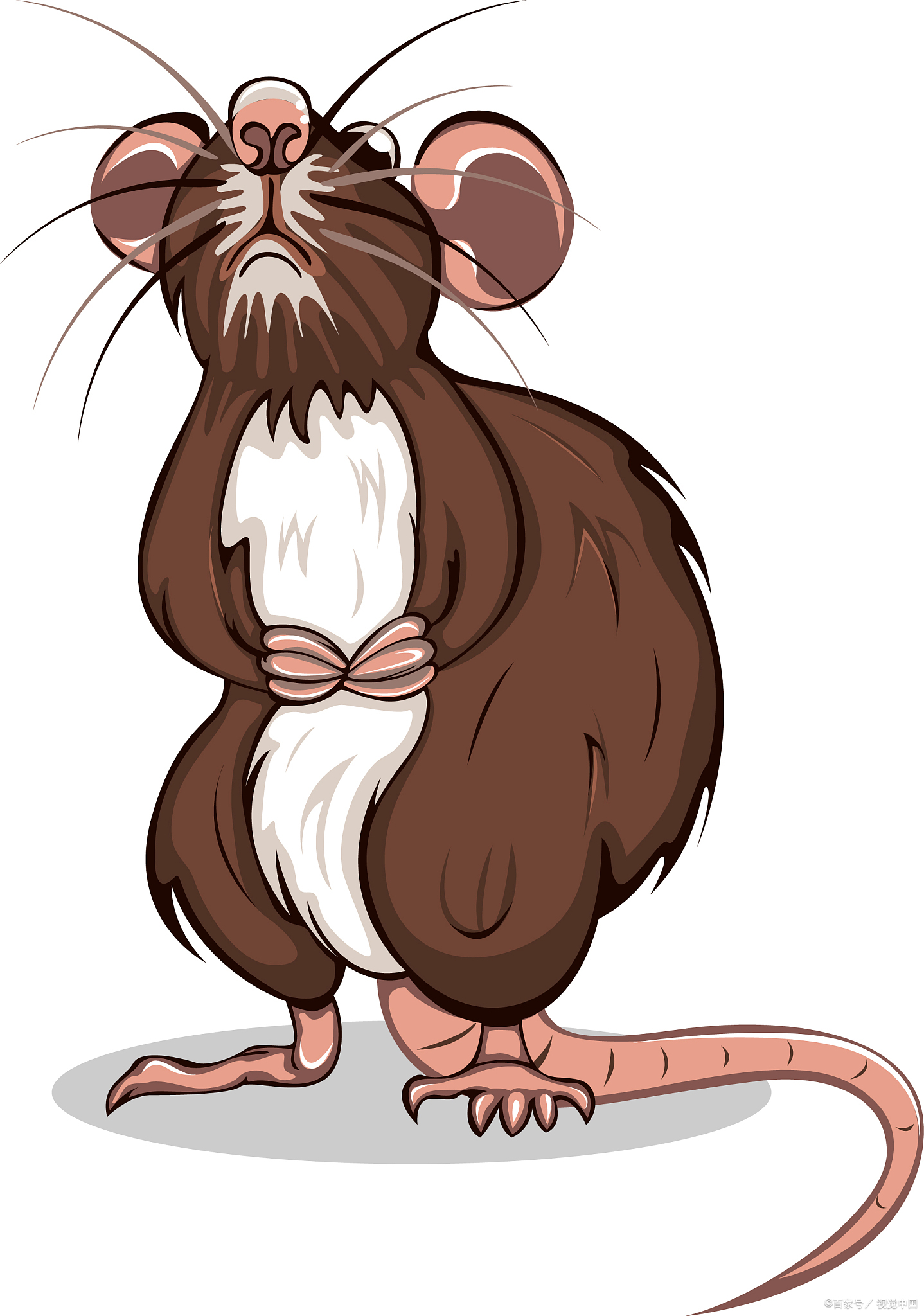 咱们优秀的校长还是个孩子