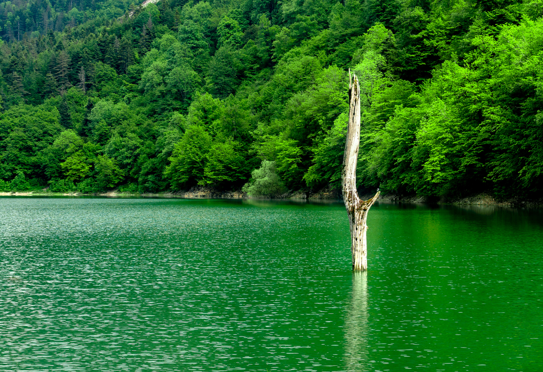 最近黑龙江鸡西市的兴凯湖新开流景区发生了一件令人惊讶的事件,整个