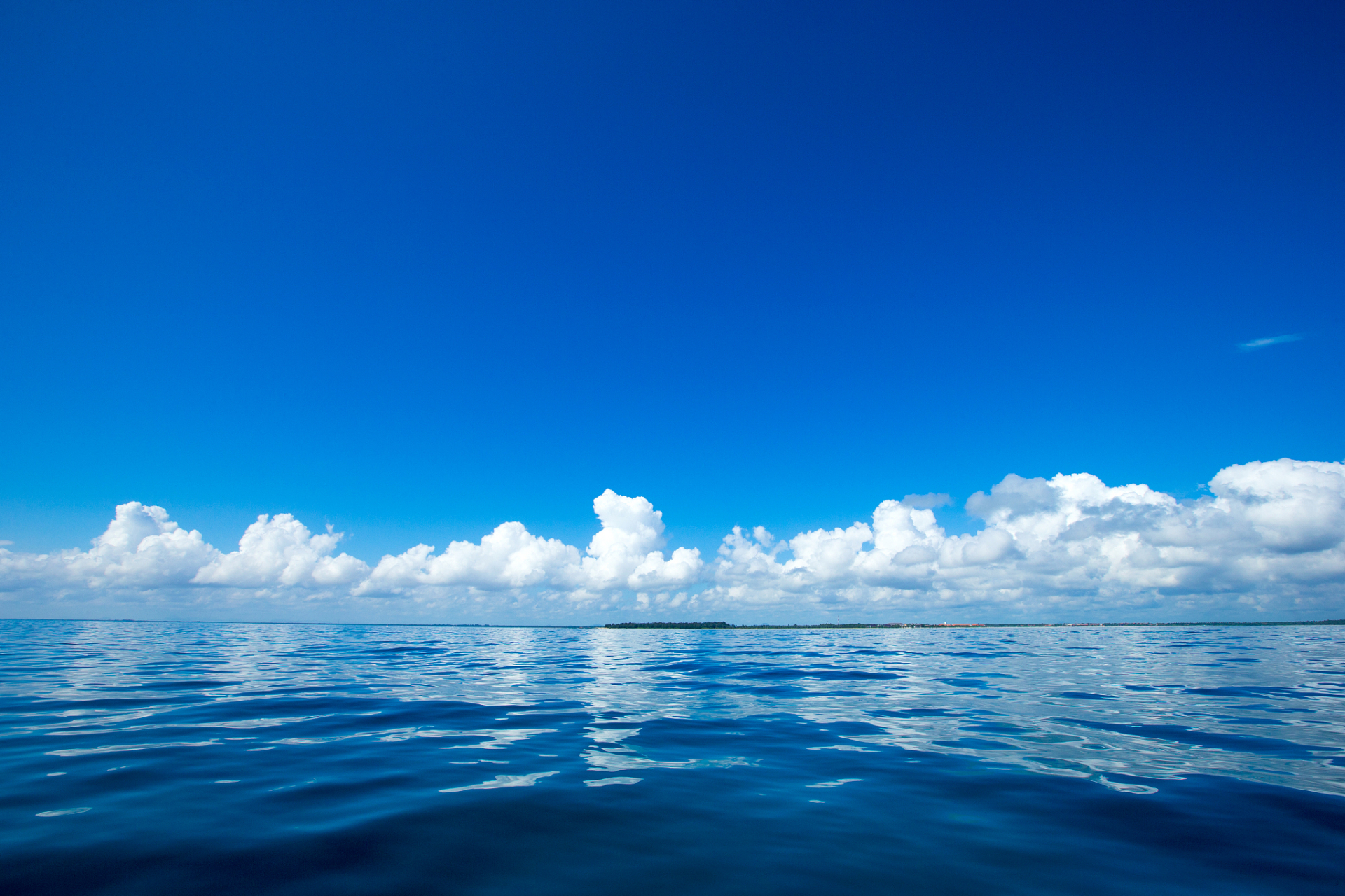 风,轻轻吹过,带着远方的思念, 浪,缓缓涌来,带着大海的深情.