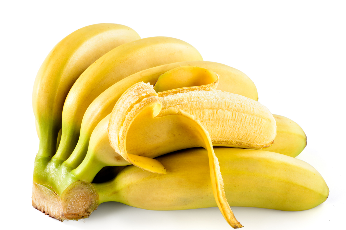 香蕉生长受温度影响,二十三度环境生长更快,口感更甜,外观更黄,适合当